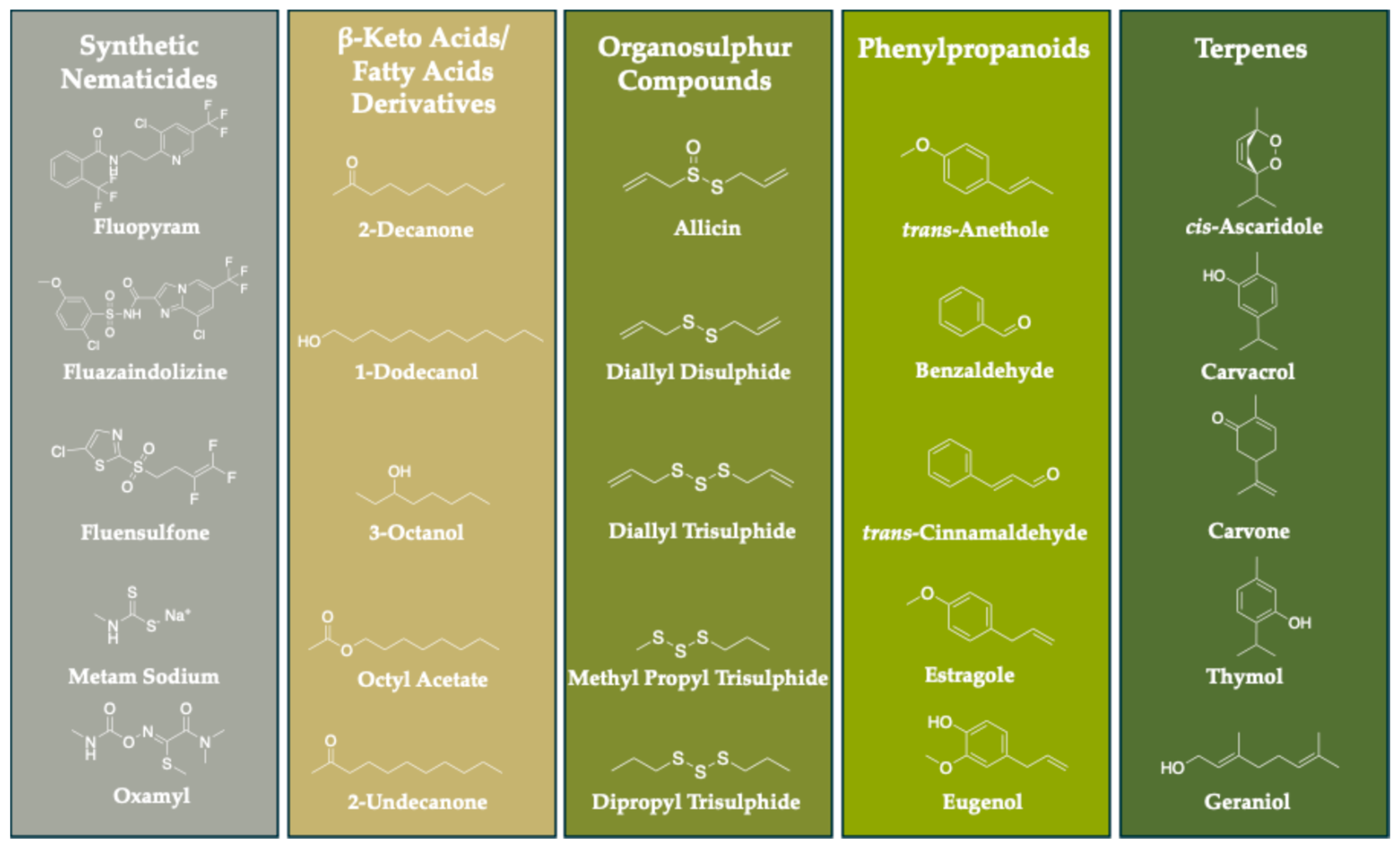 Toxics 12 00406 g001