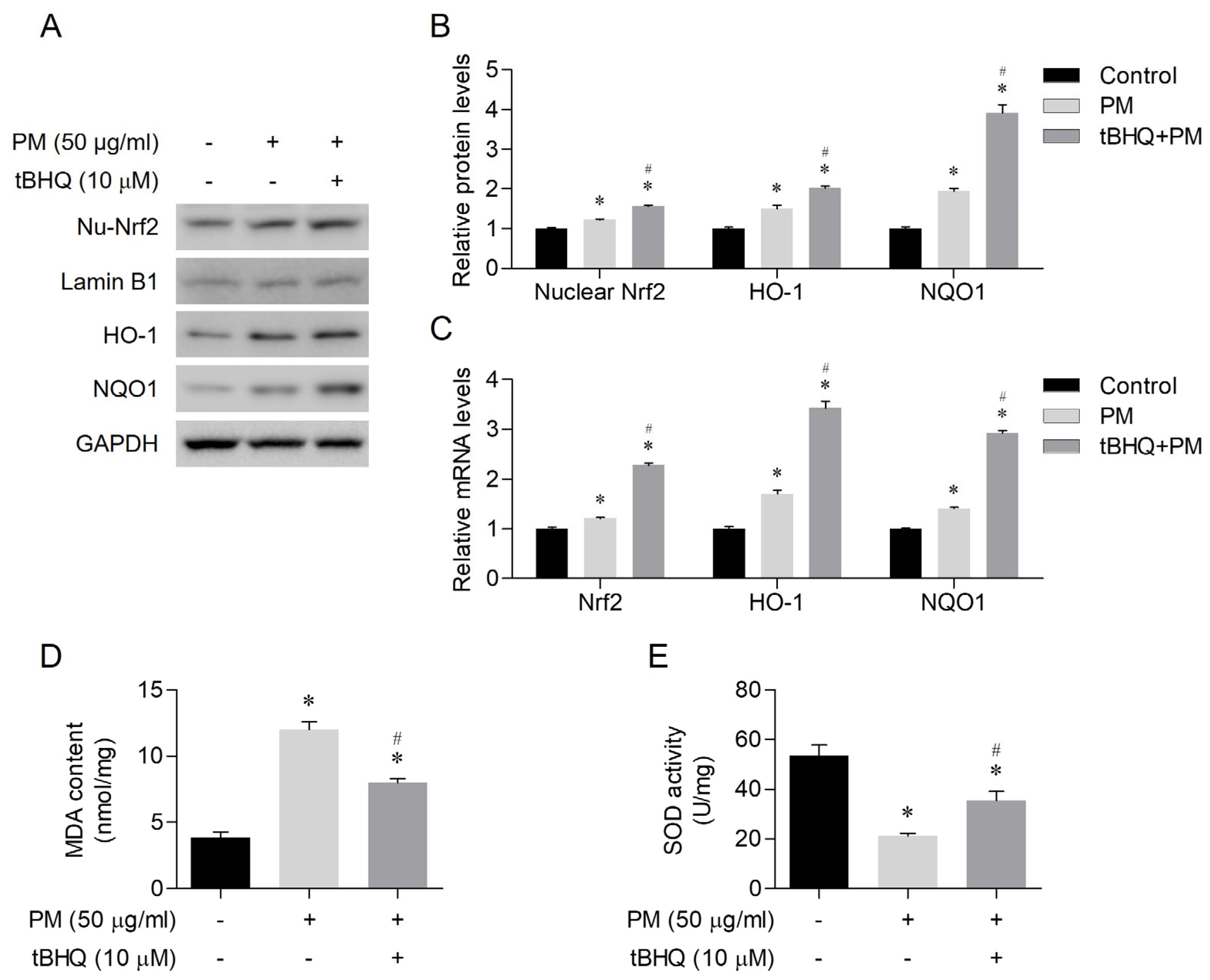 Toxics 12 00407 g004