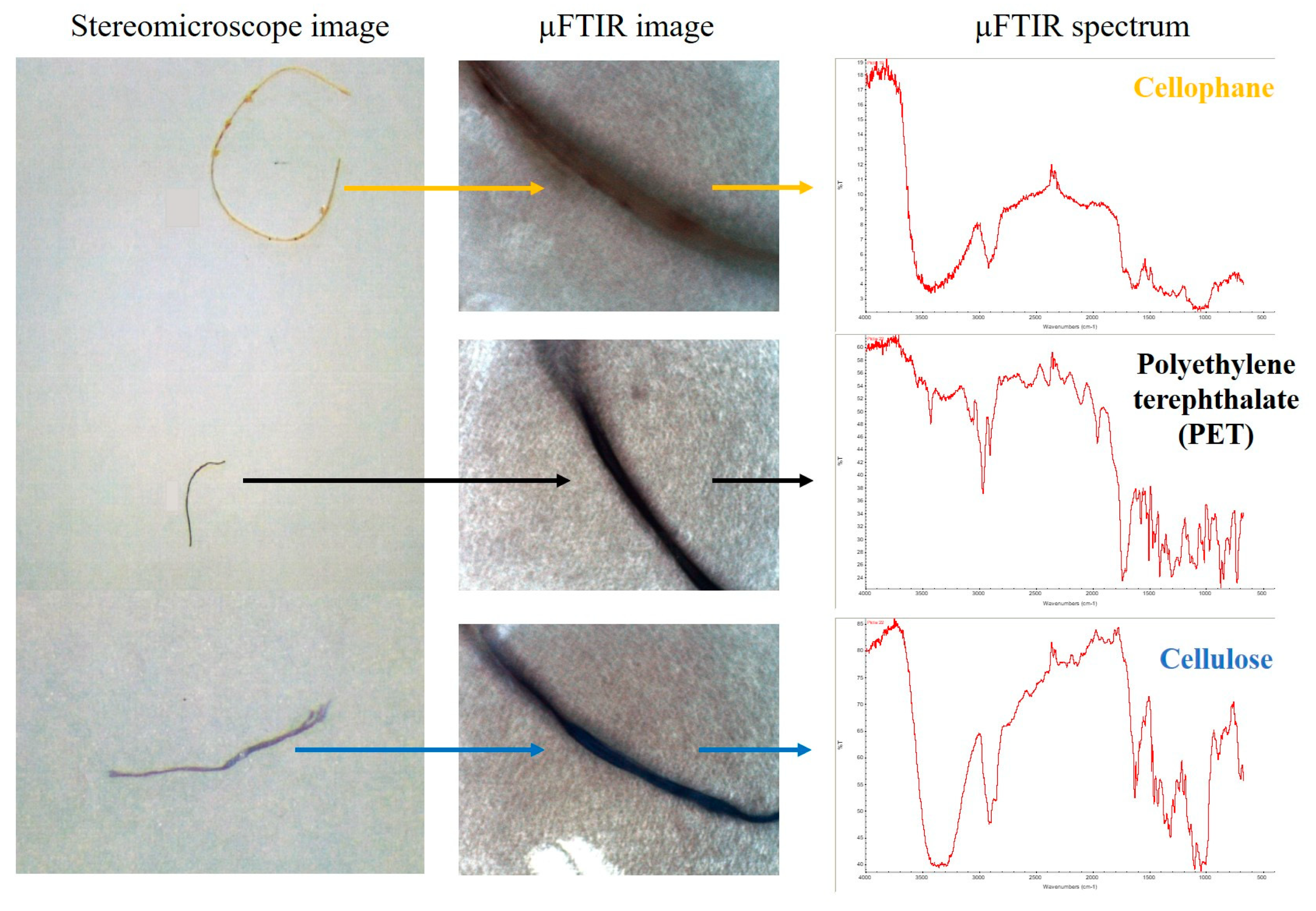 Toxics 12 00408 g001