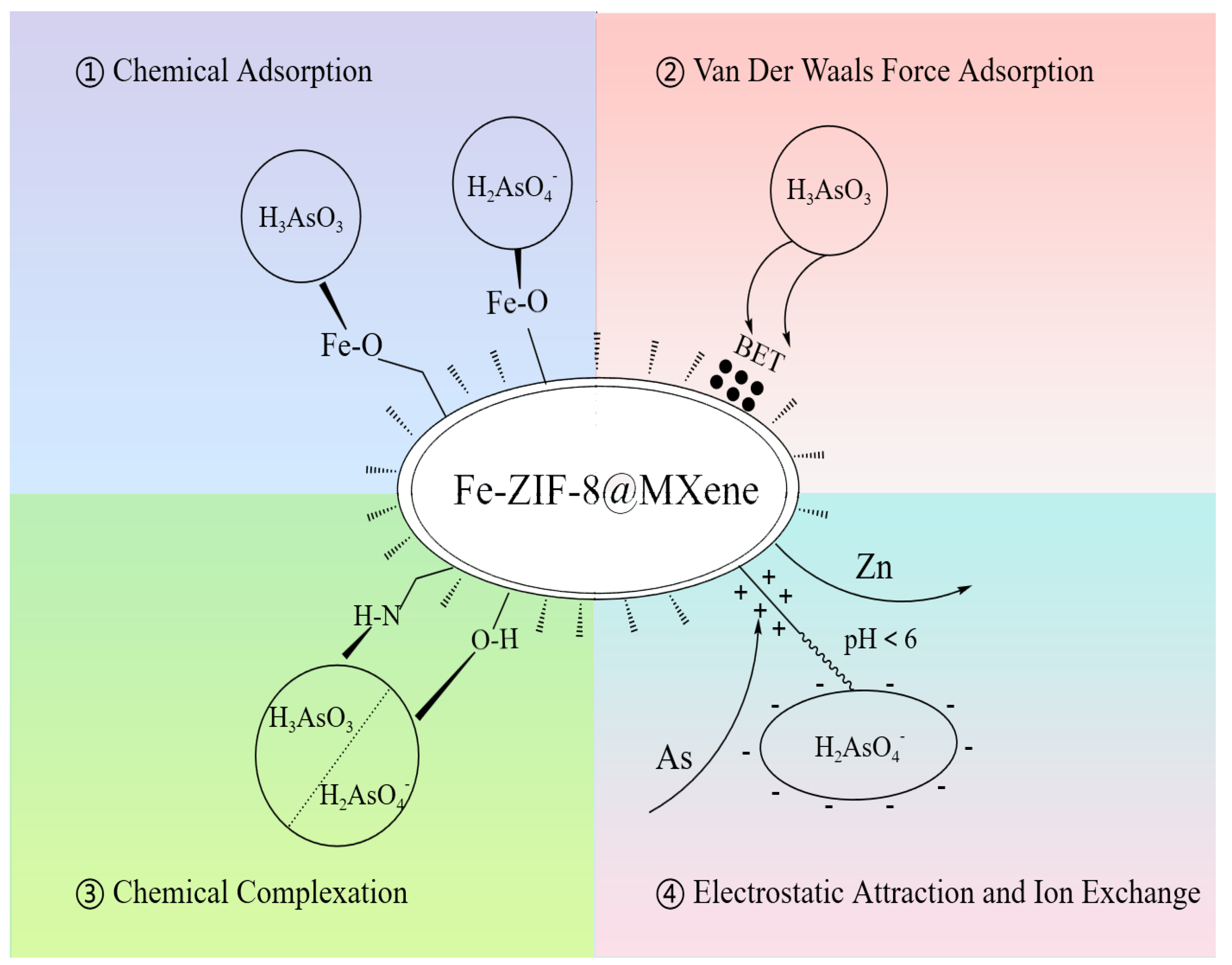 Toxics 12 00419 g010