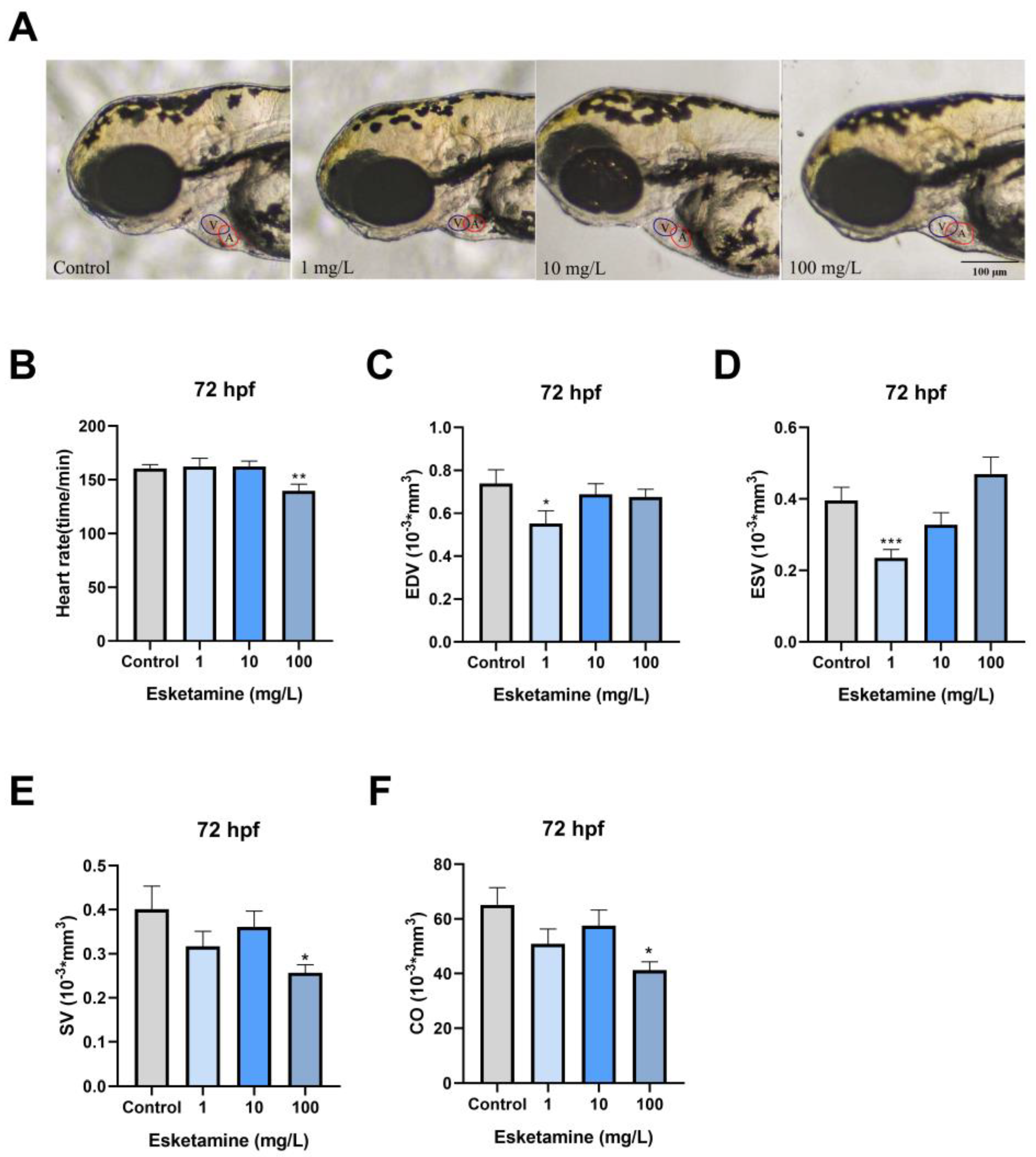 Toxics 12 00427 g002