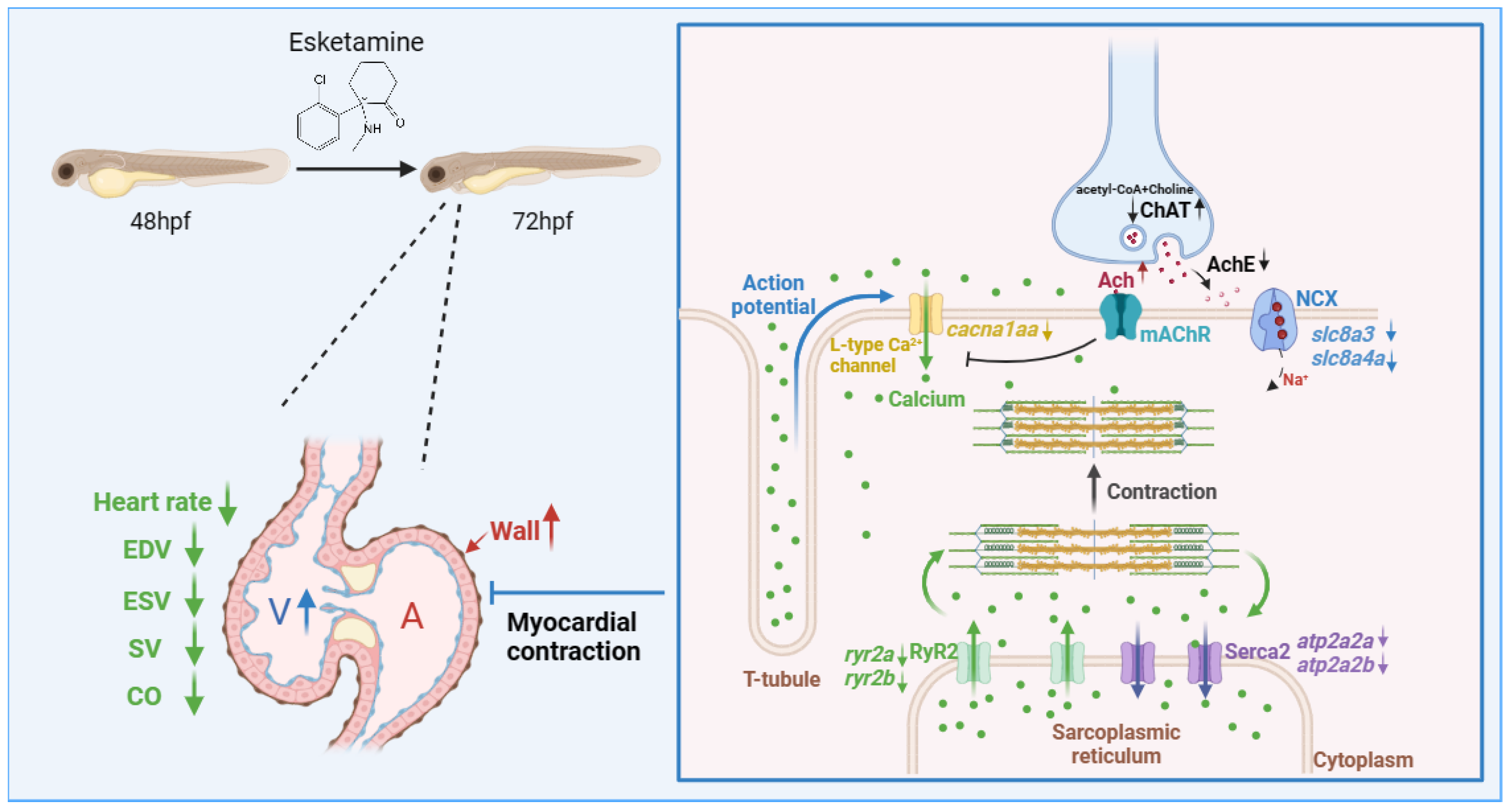 Toxics 12 00427 g008