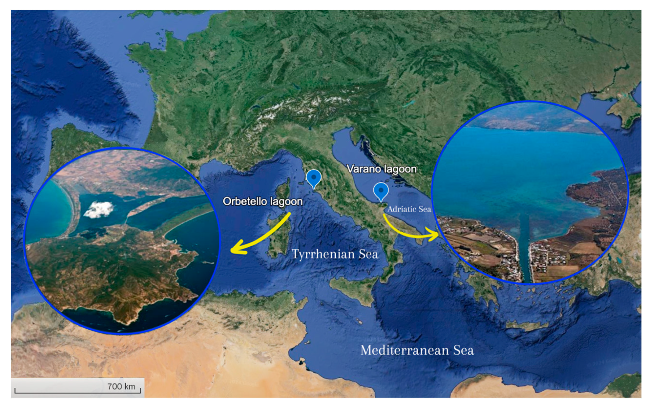 Toxics 12 00429 g001