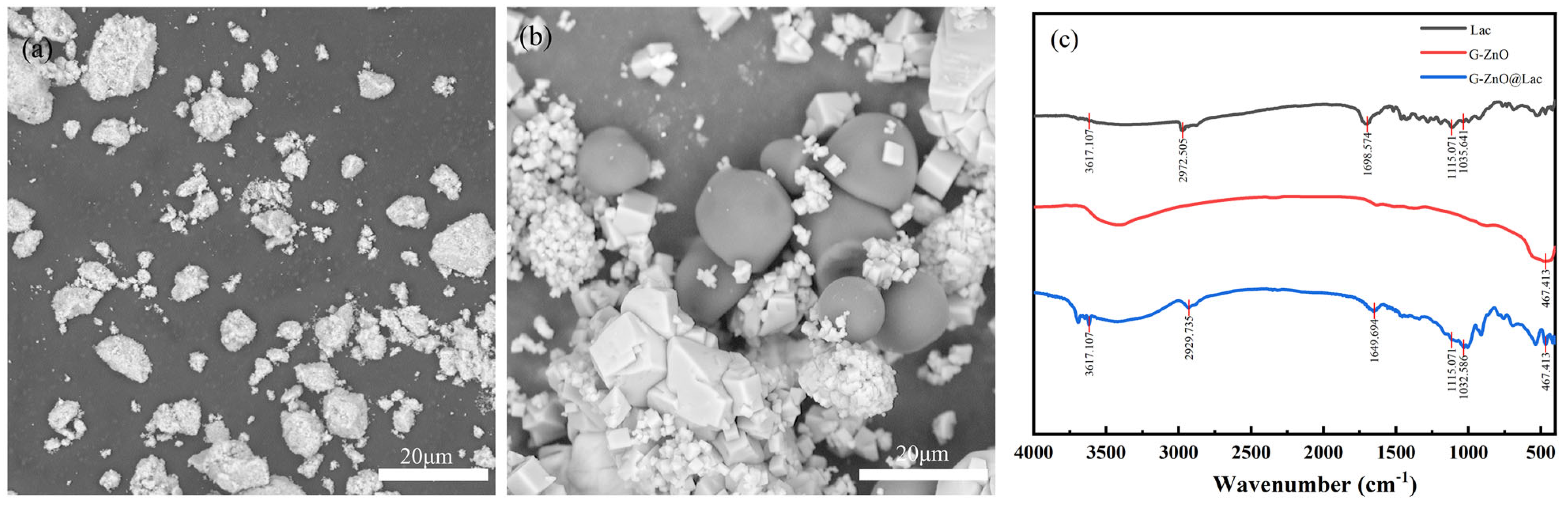 Toxics 12 00434 g002