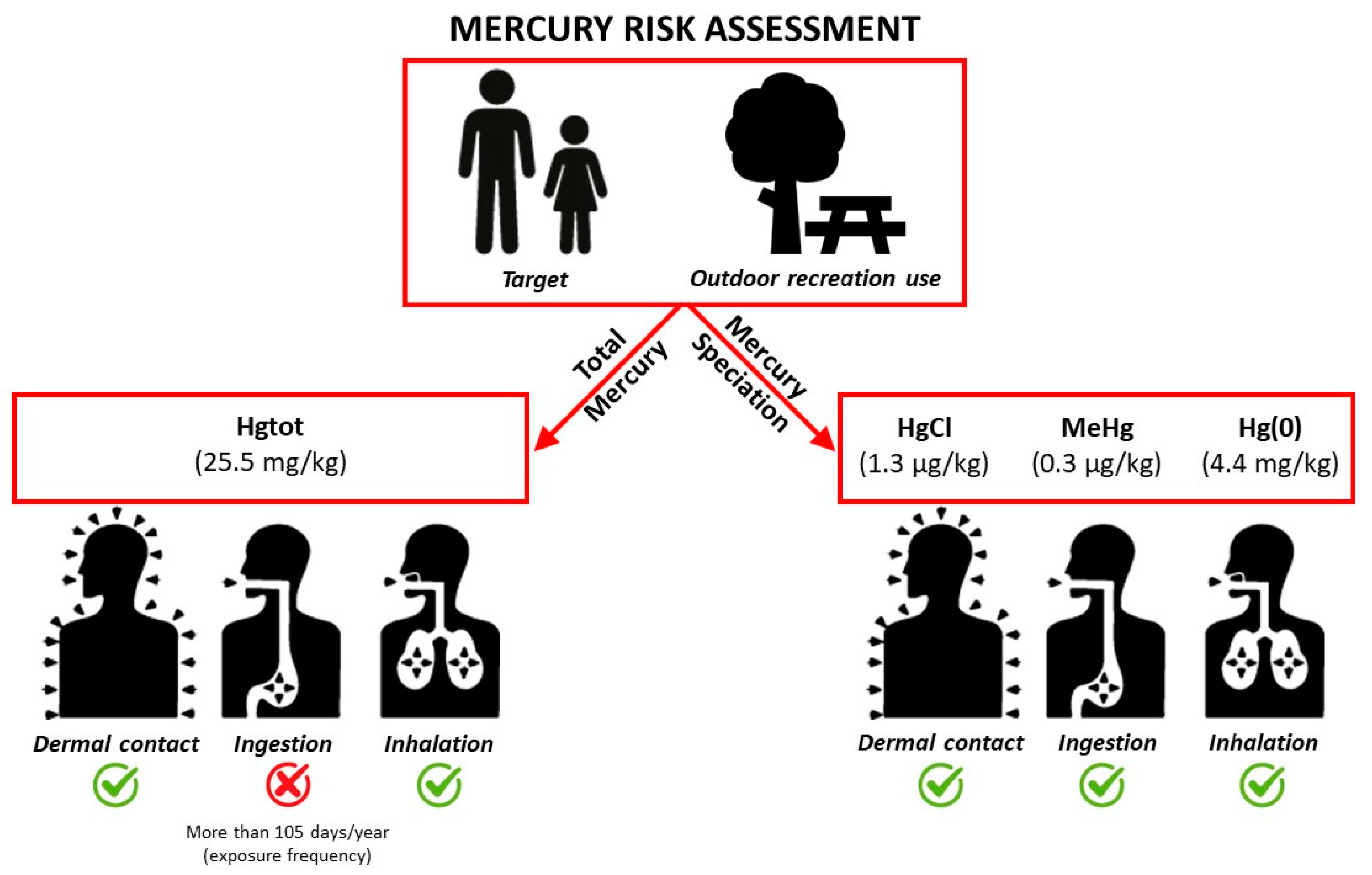 Toxics 12 00436 g005