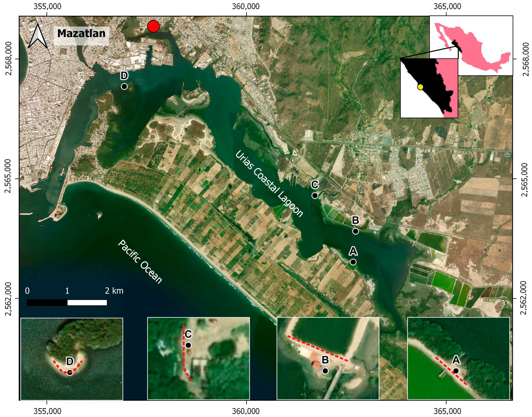 Toxics 12 00439 g001