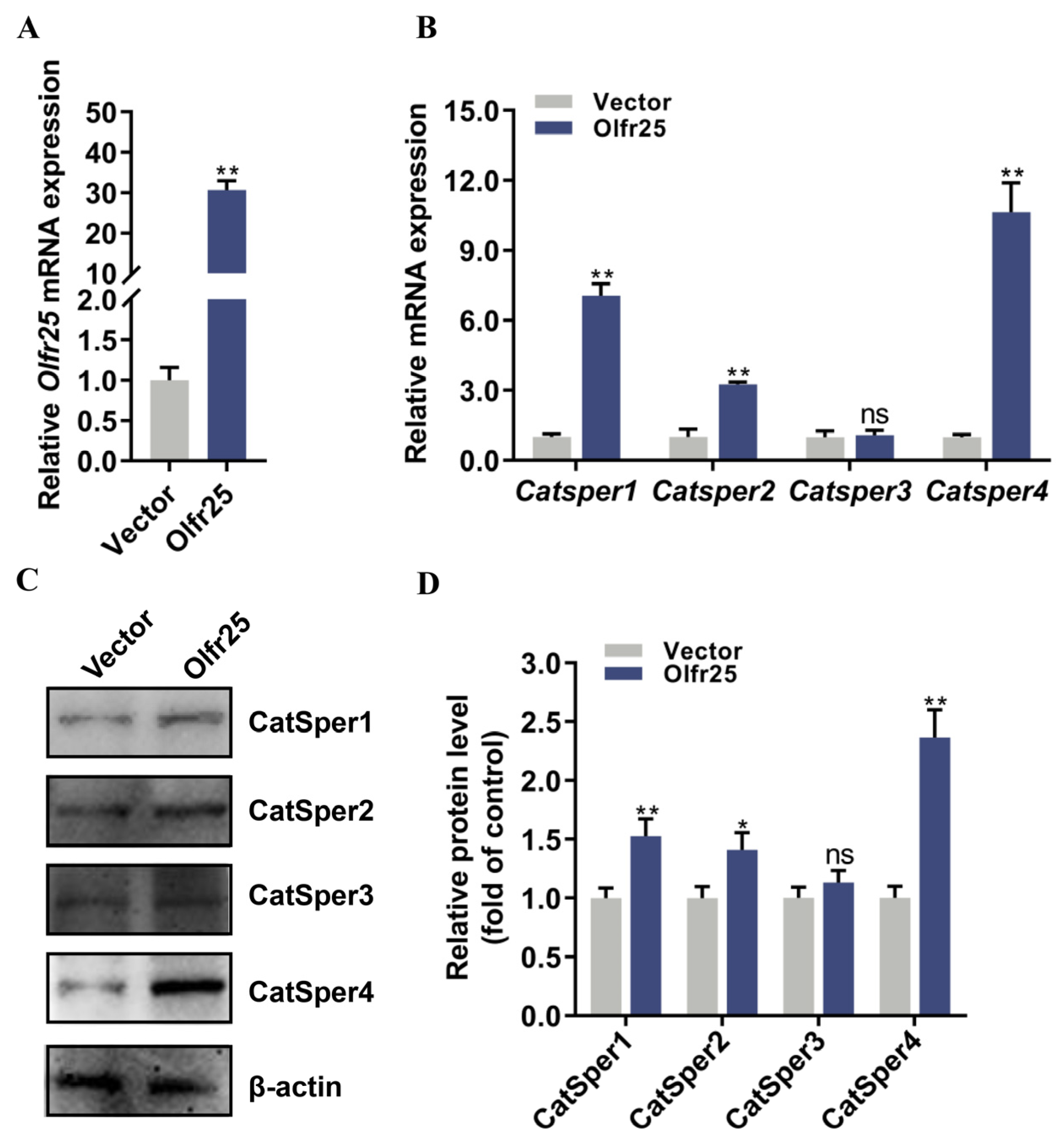Toxics 12 00442 g005
