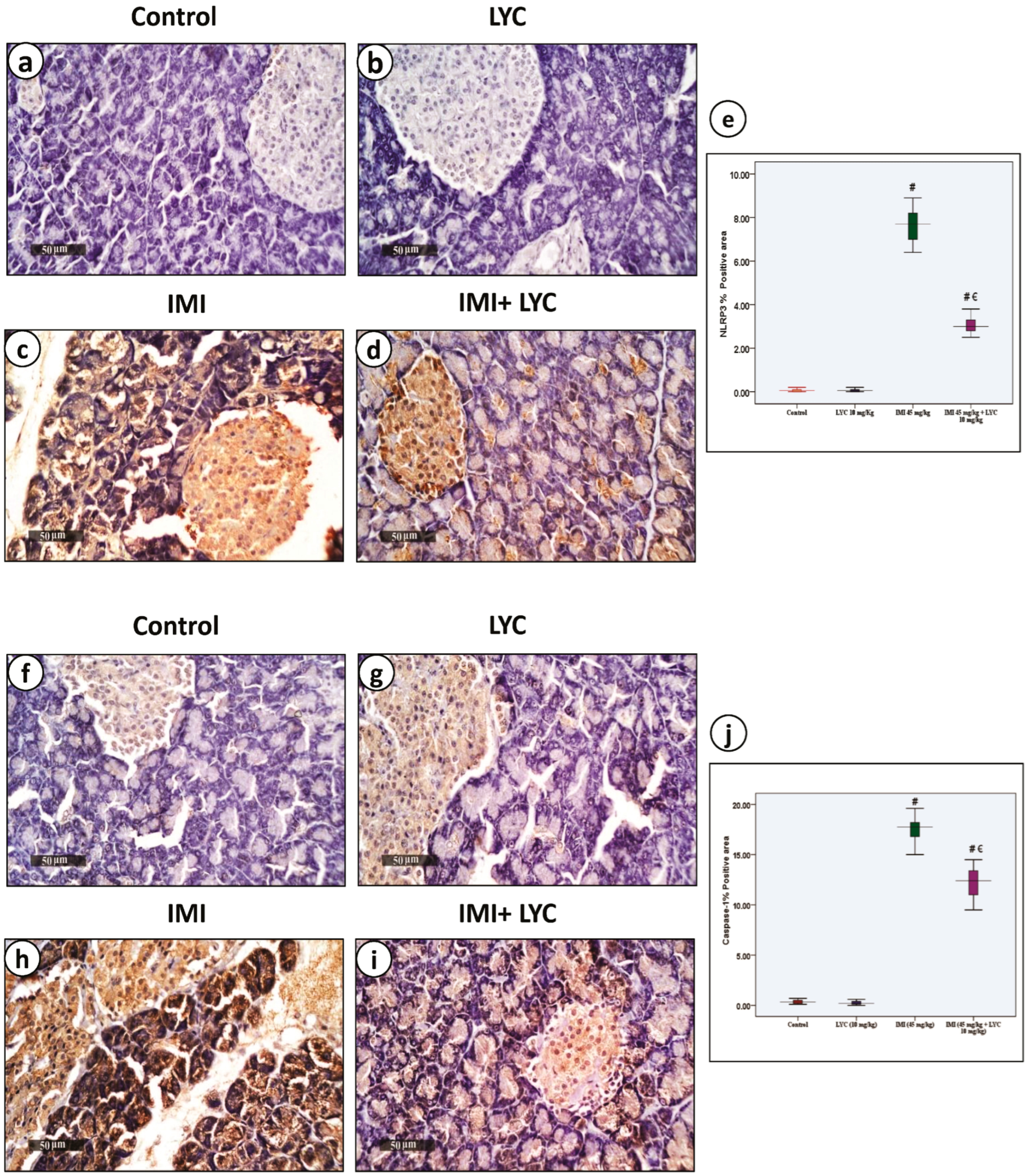 Toxics 12 00445 g005