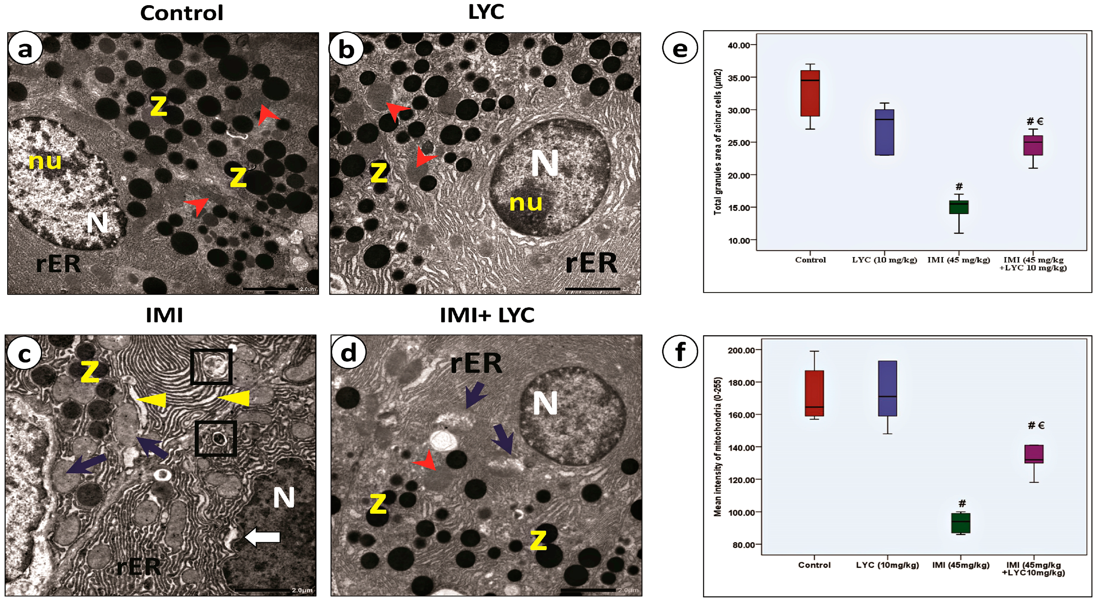 Toxics 12 00445 g007