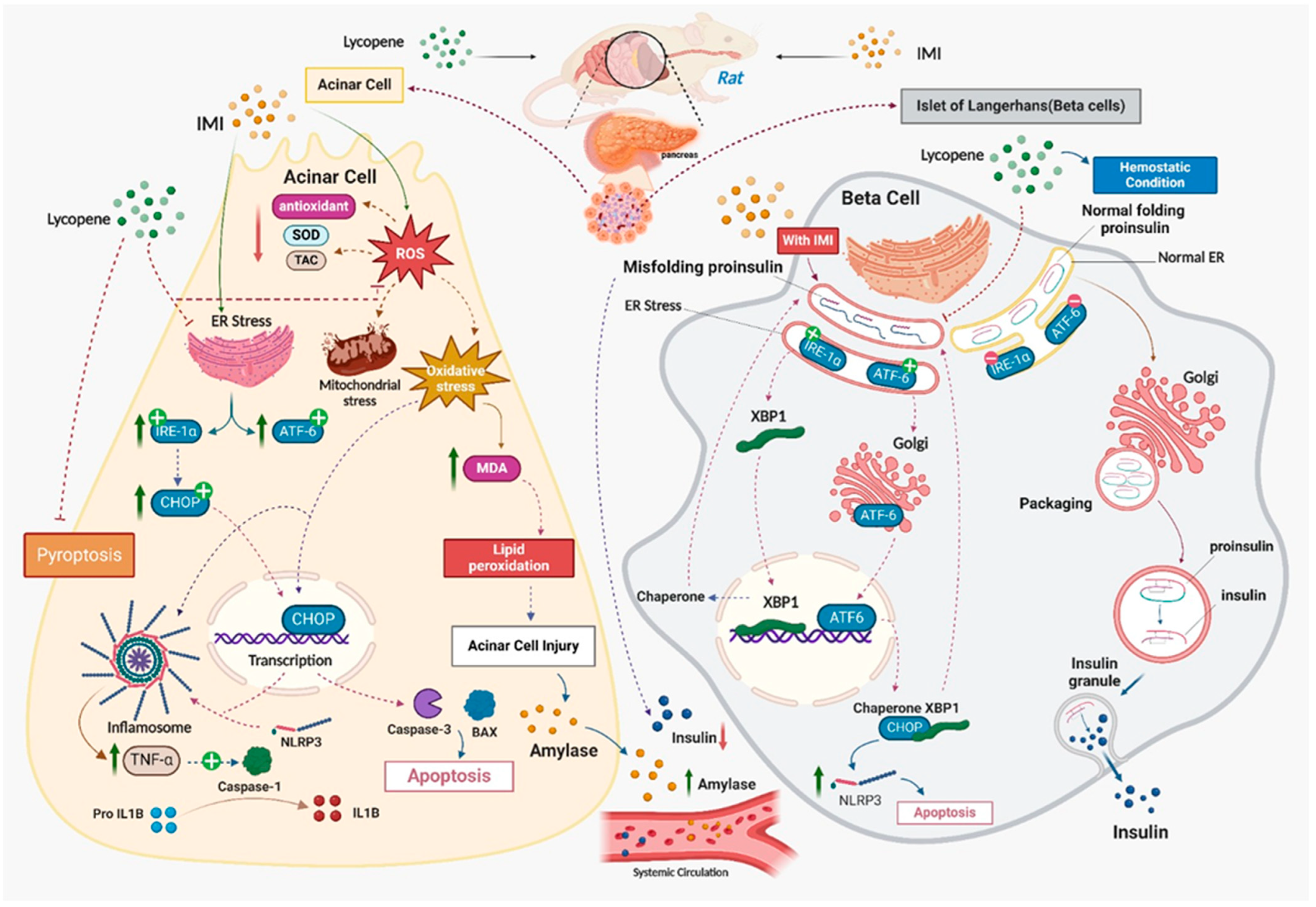 Toxics 12 00445 g010