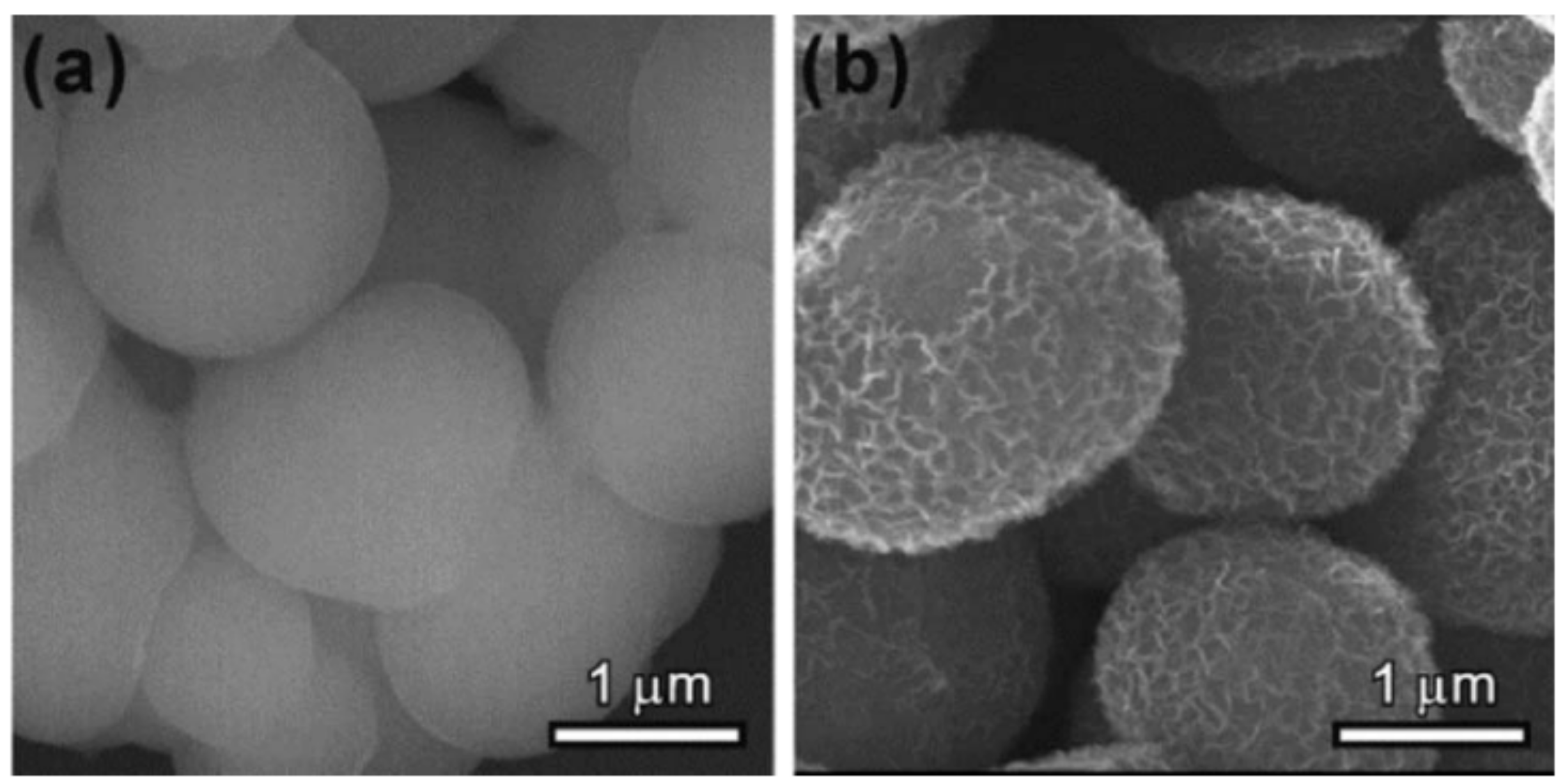 Toxics 12 00447 g002