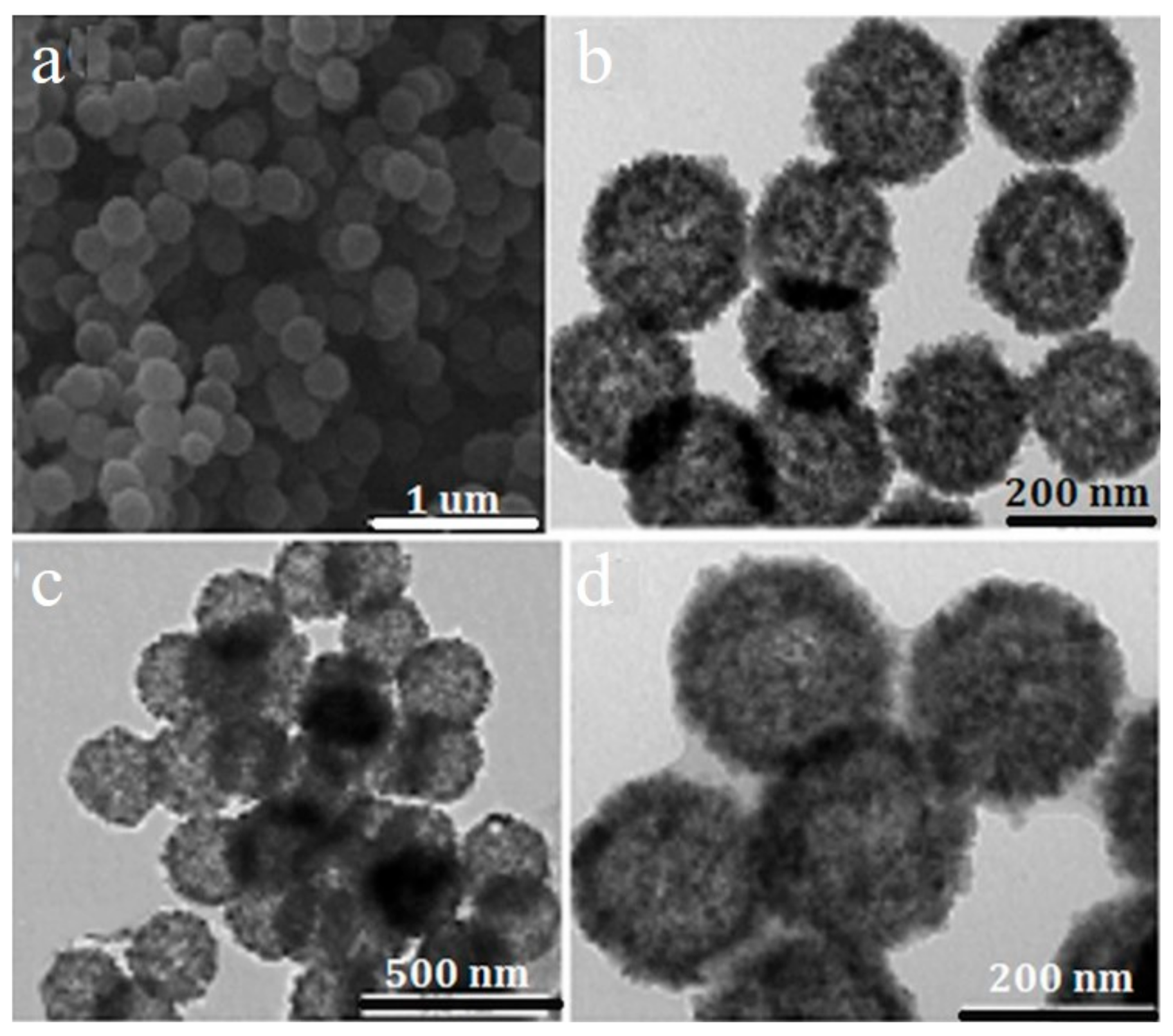 Toxics 12 00447 g004