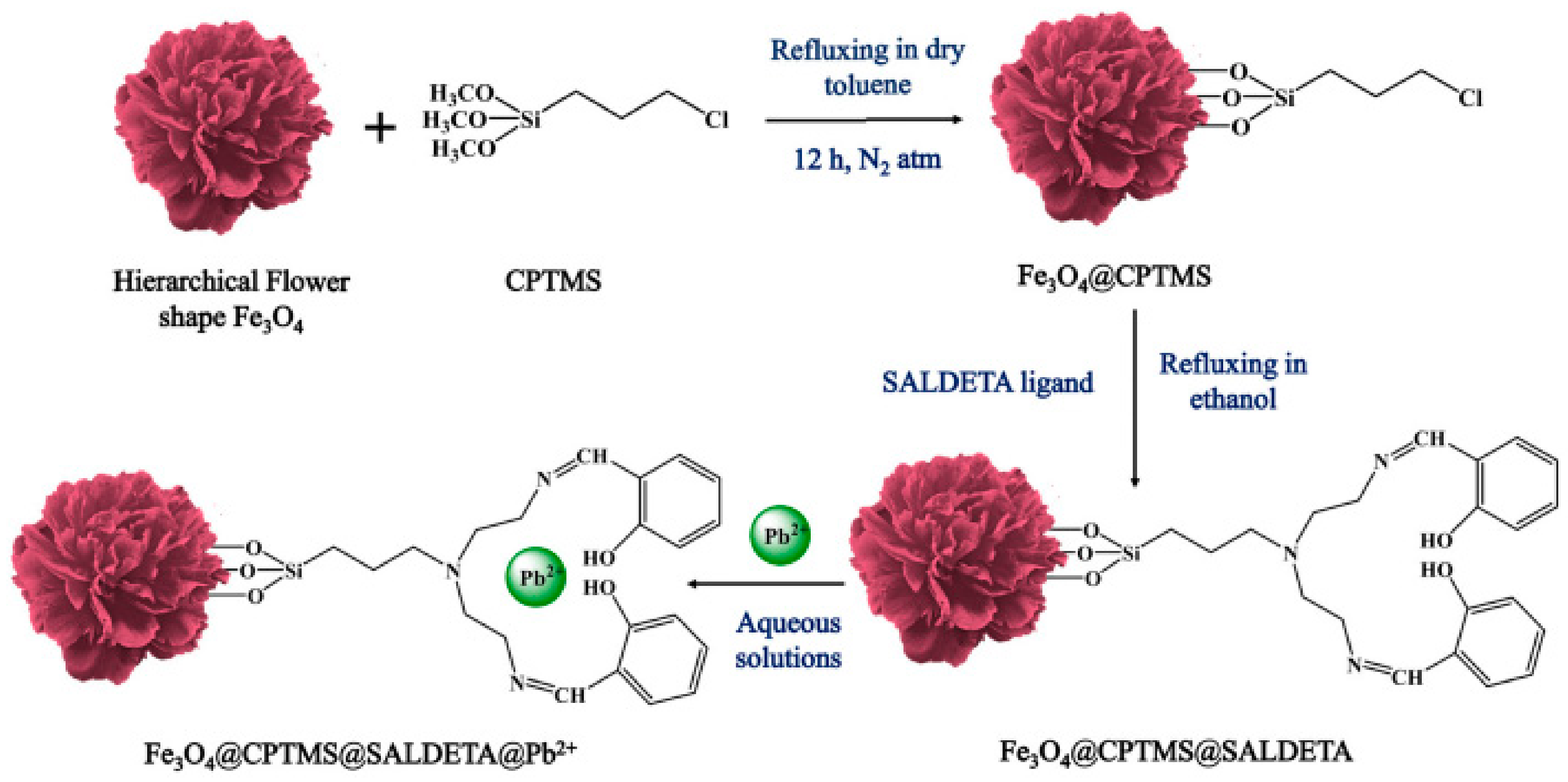 Toxics 12 00447 g007
