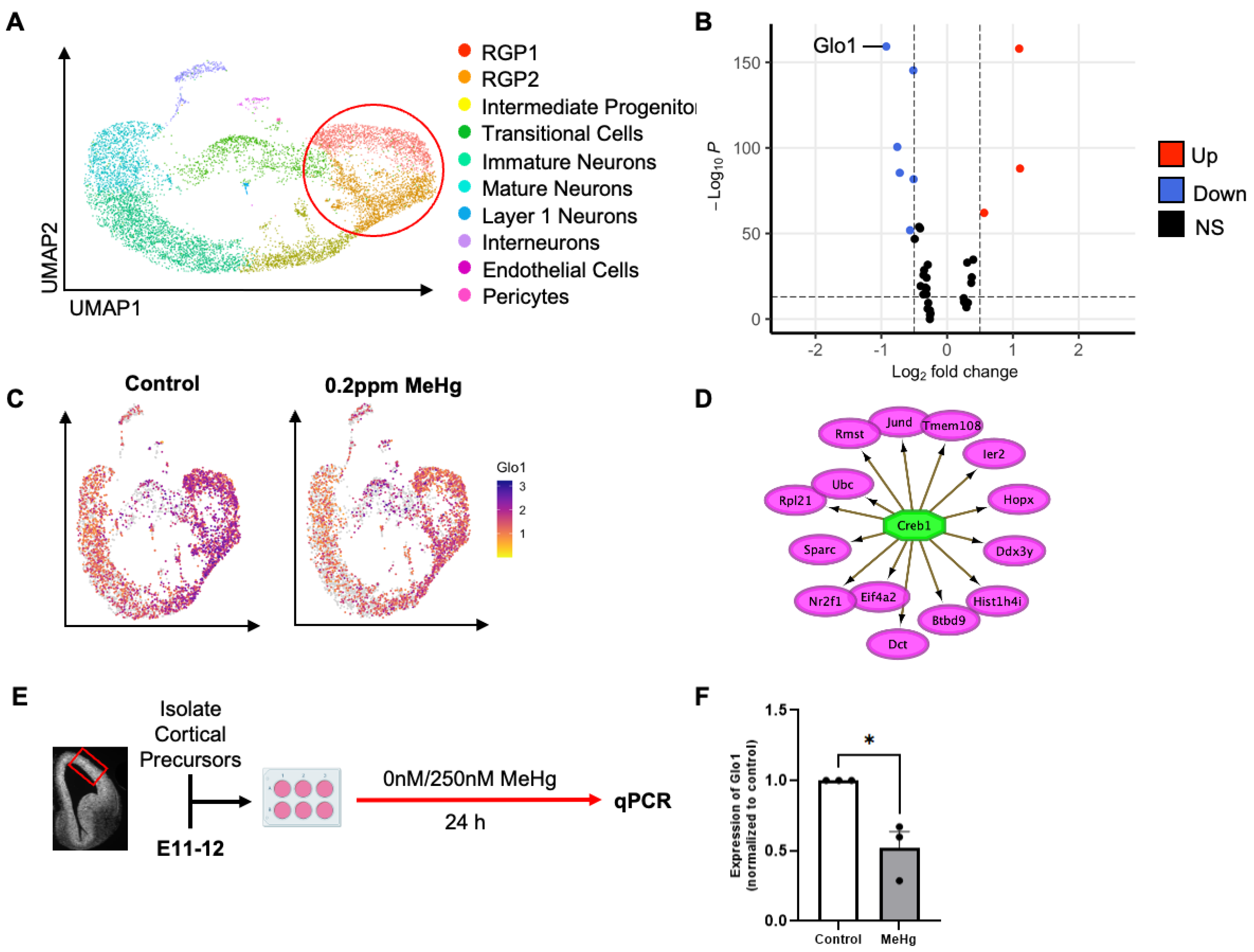 Toxics 12 00449 g001
