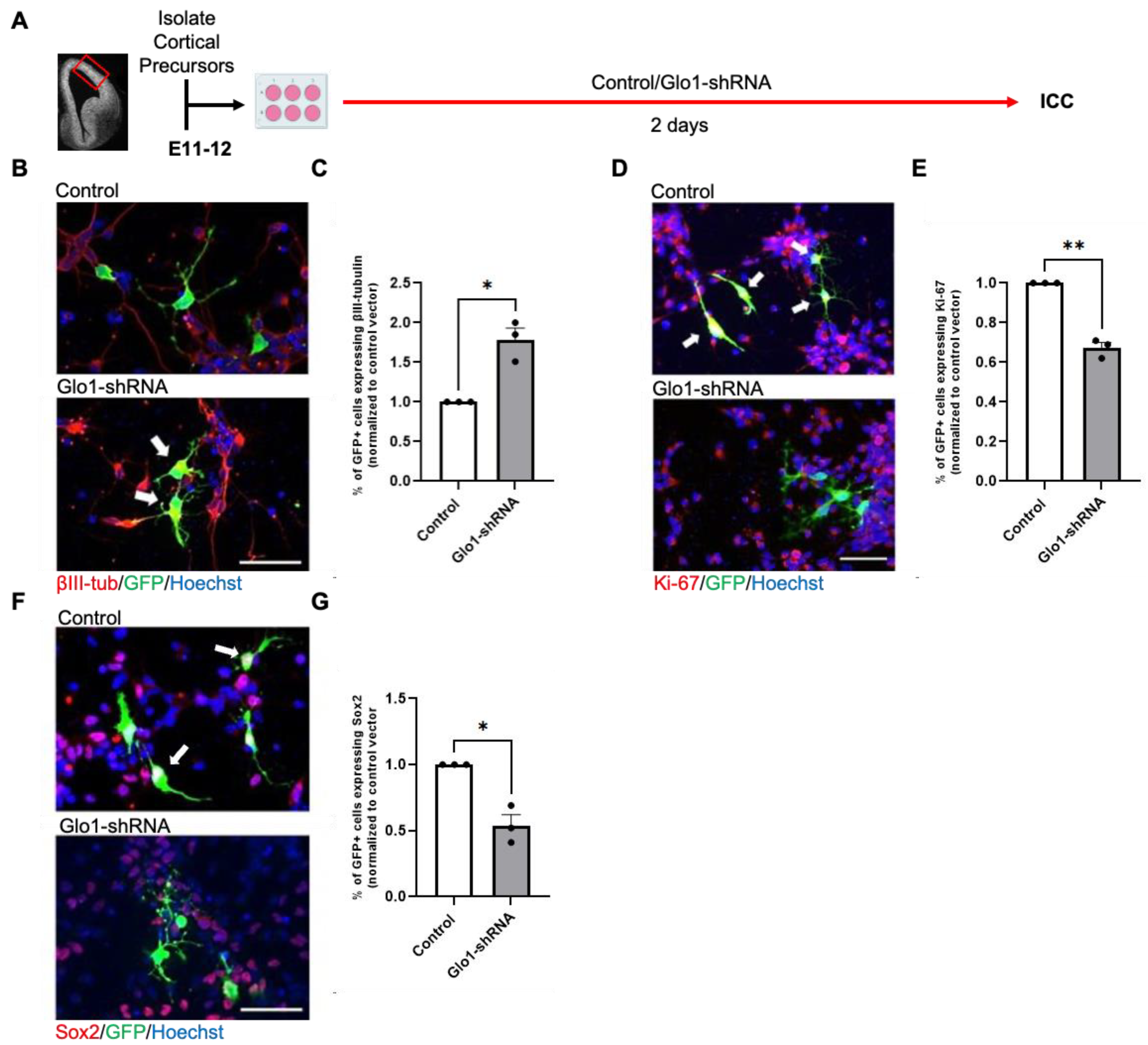 Toxics 12 00449 g002