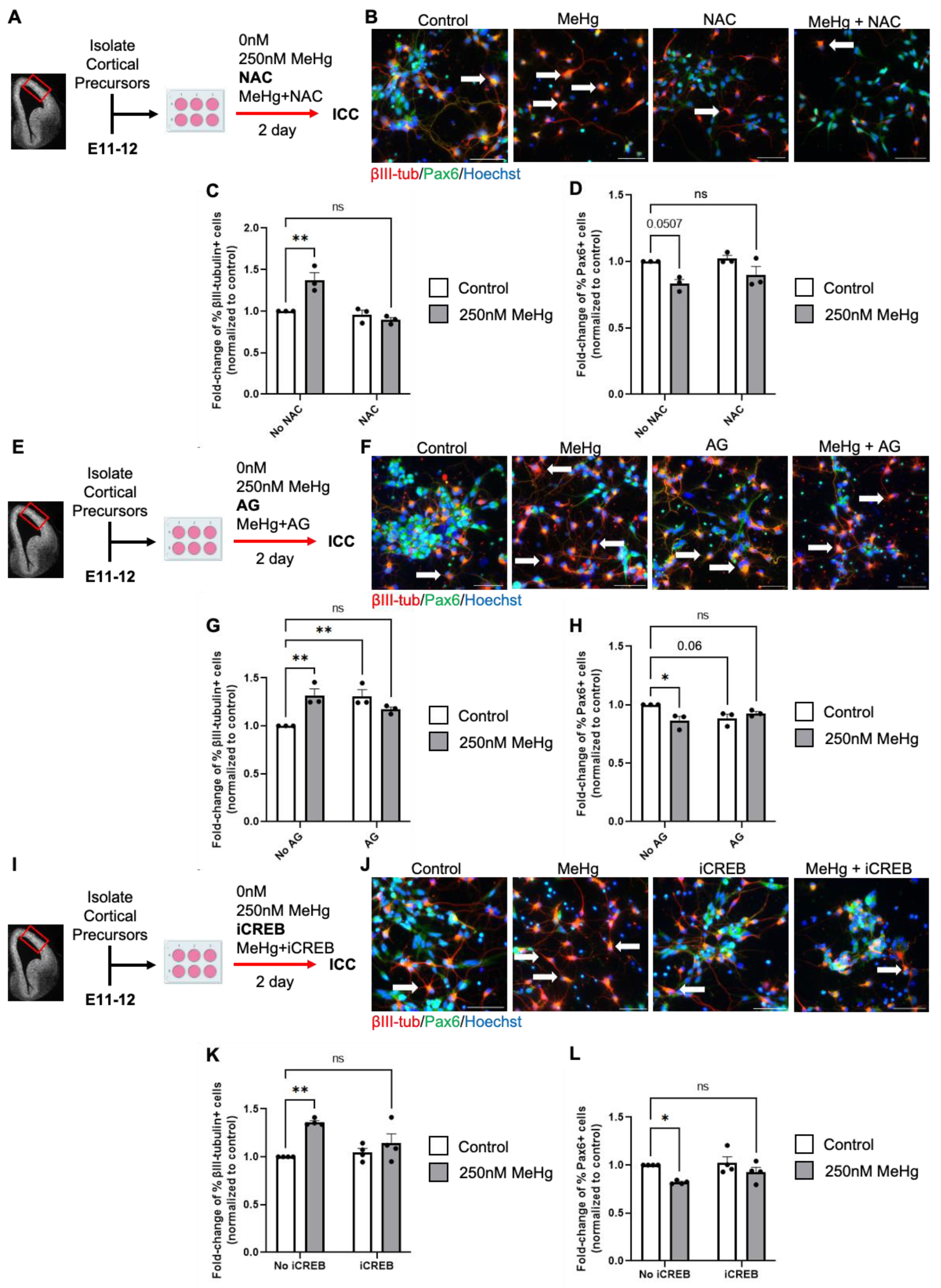 Toxics 12 00449 g004
