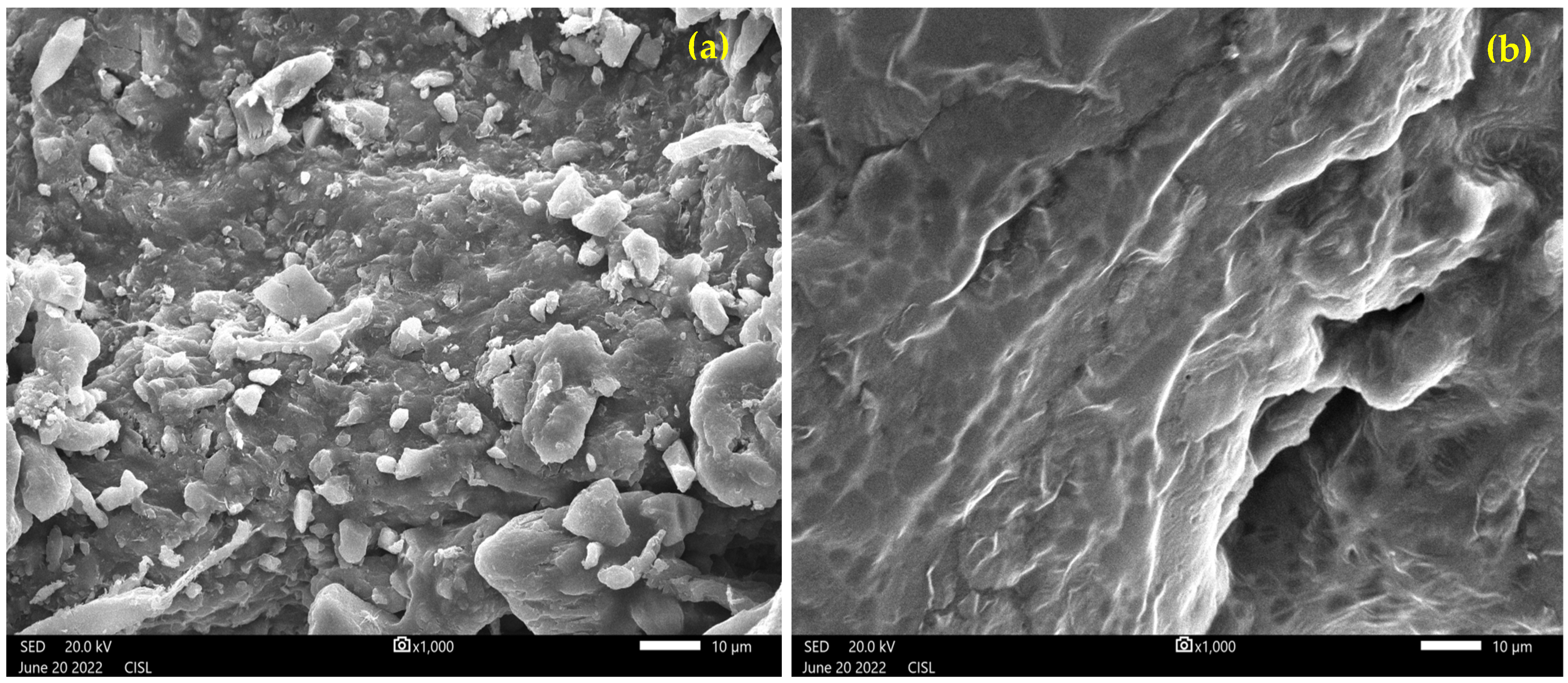 Toxics 12 00453 g005
