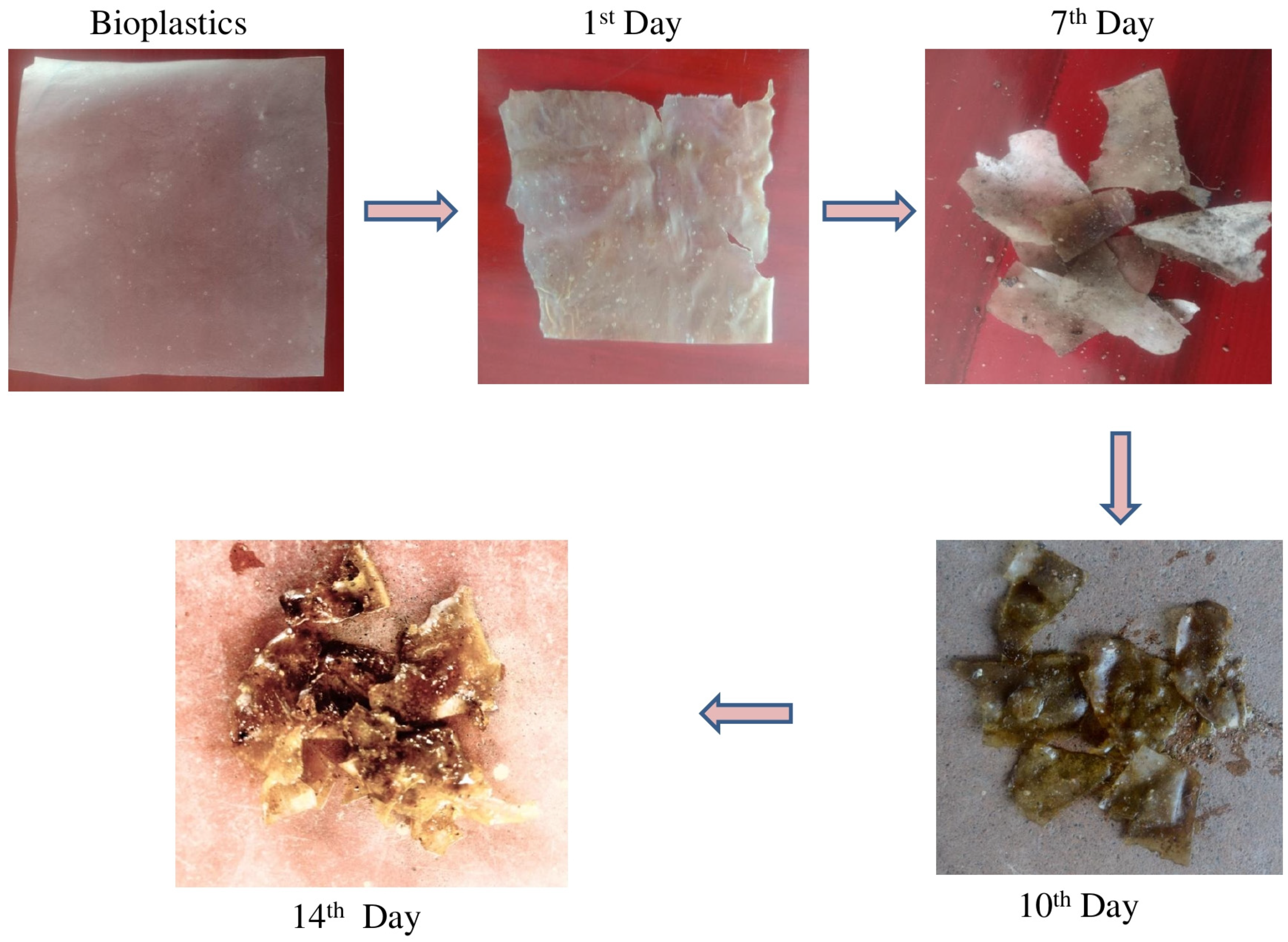 Toxics 12 00453 g007
