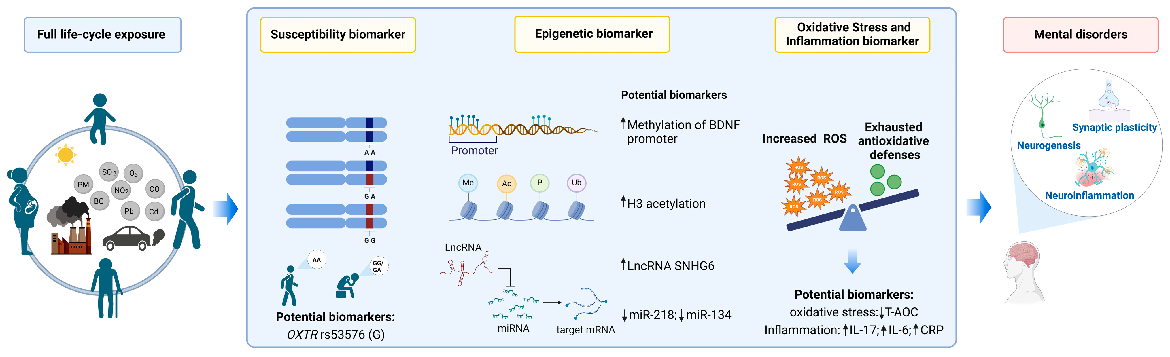 Toxics 12 00454 g001