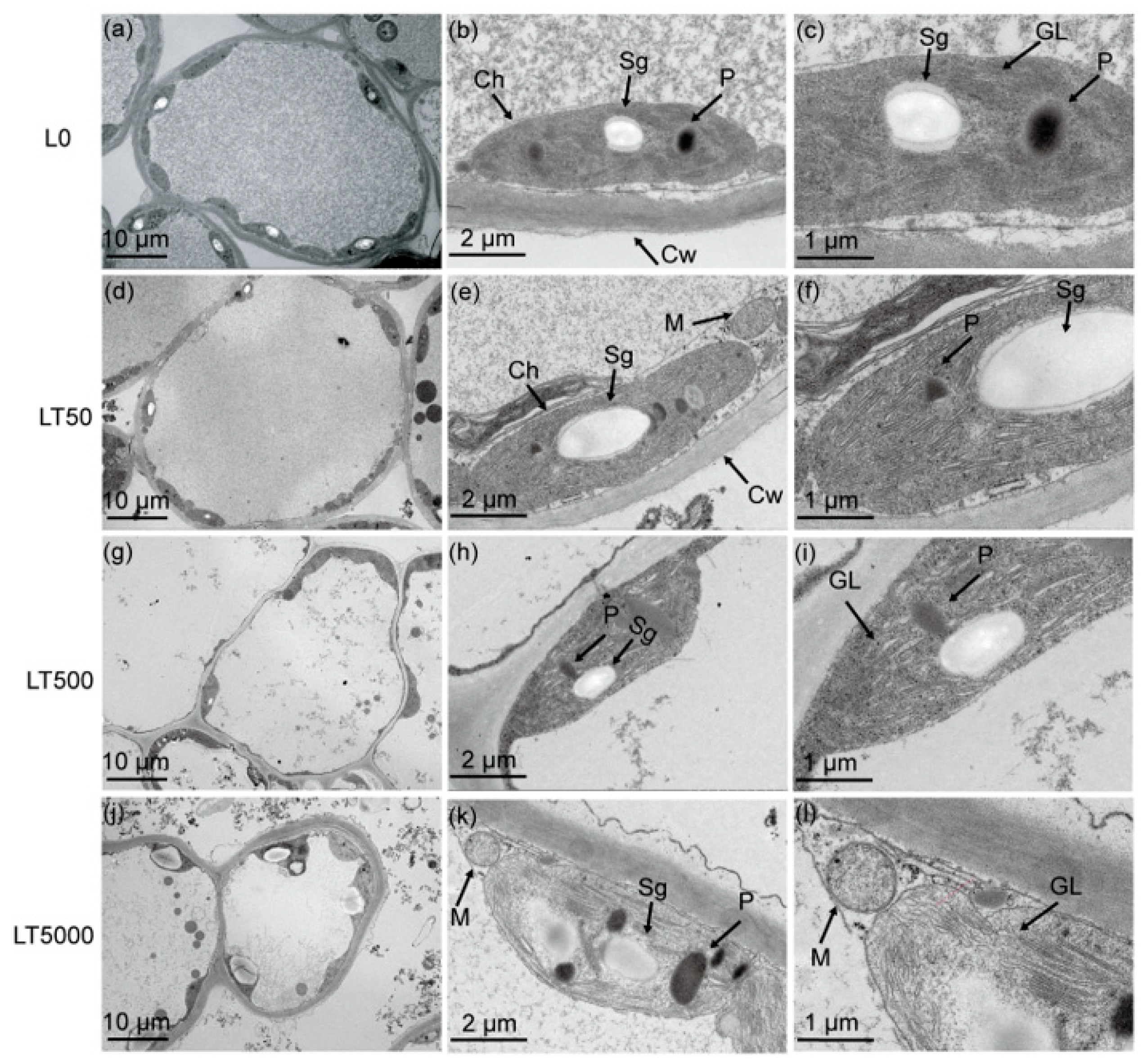 Toxics 12 00456 g003