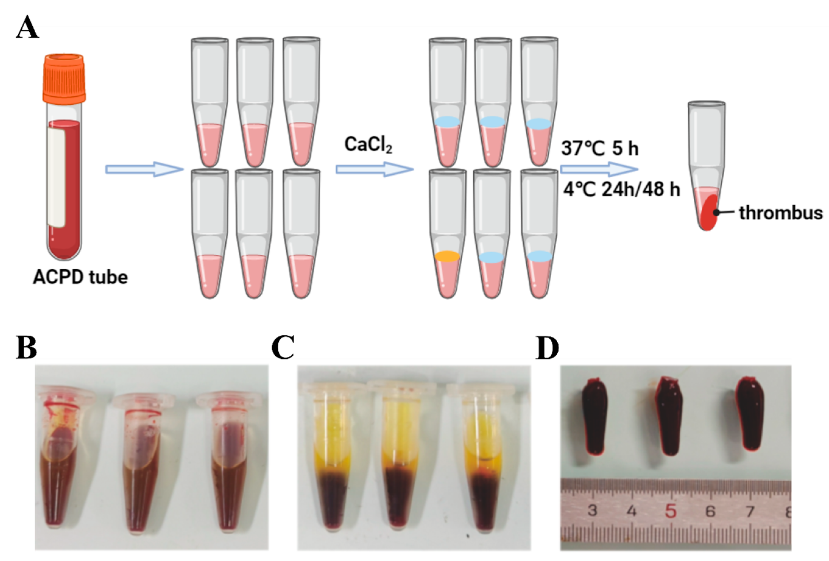 Toxics 12 00458 g001