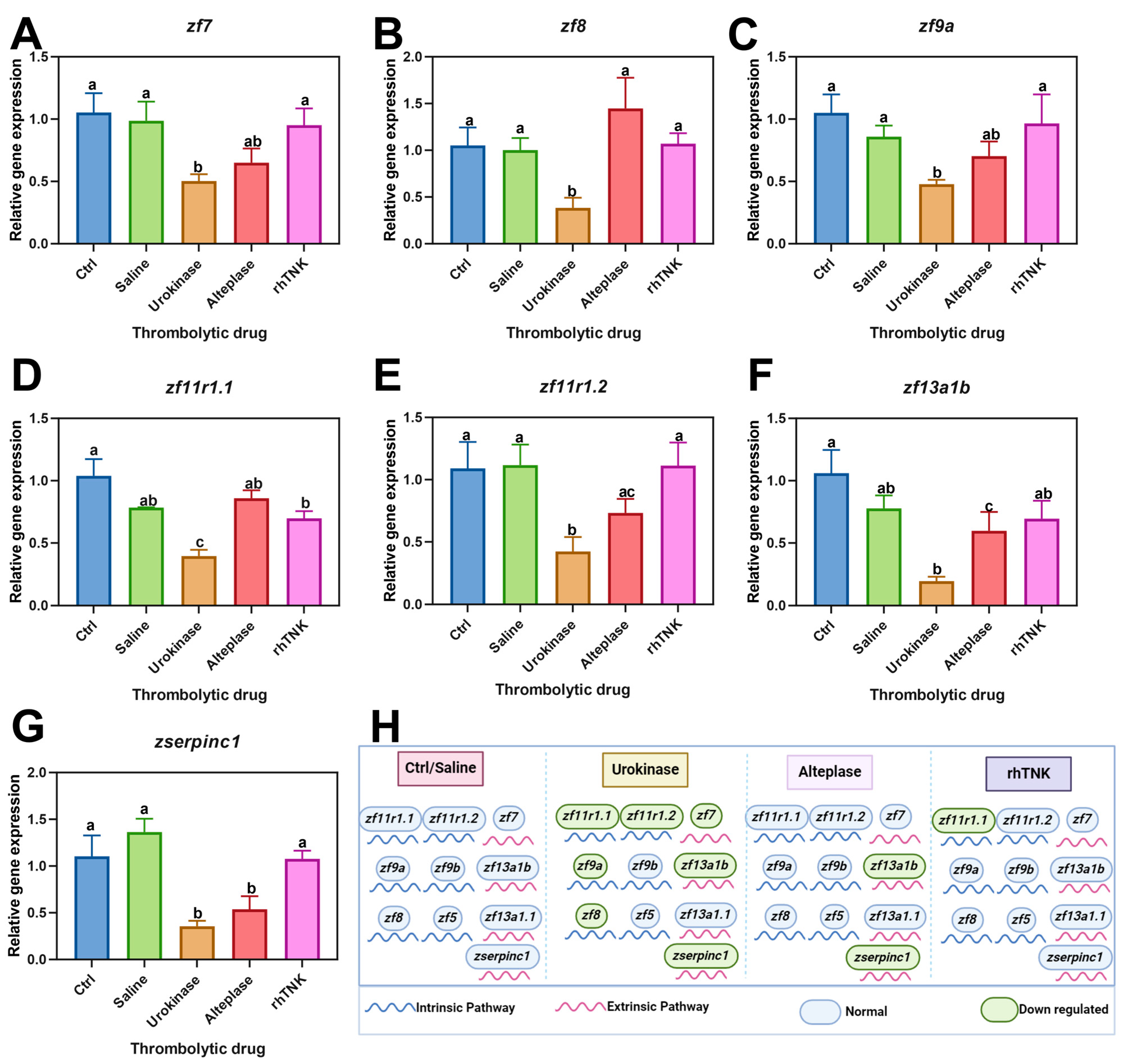 Toxics 12 00458 g005