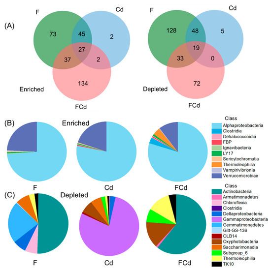 Evaluating the Response of the Soil Bacterial Community and