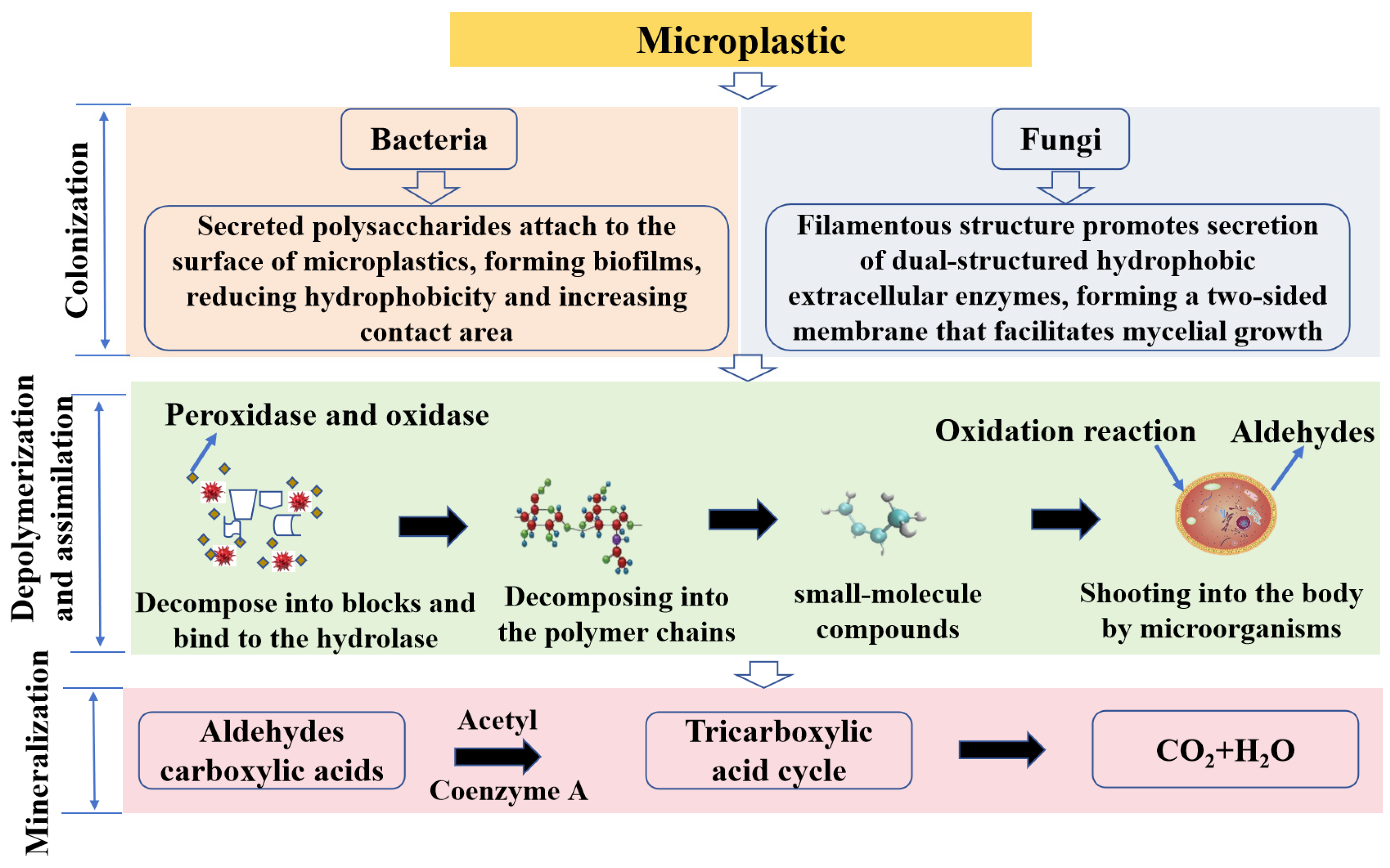 Toxics 12 00463 g005