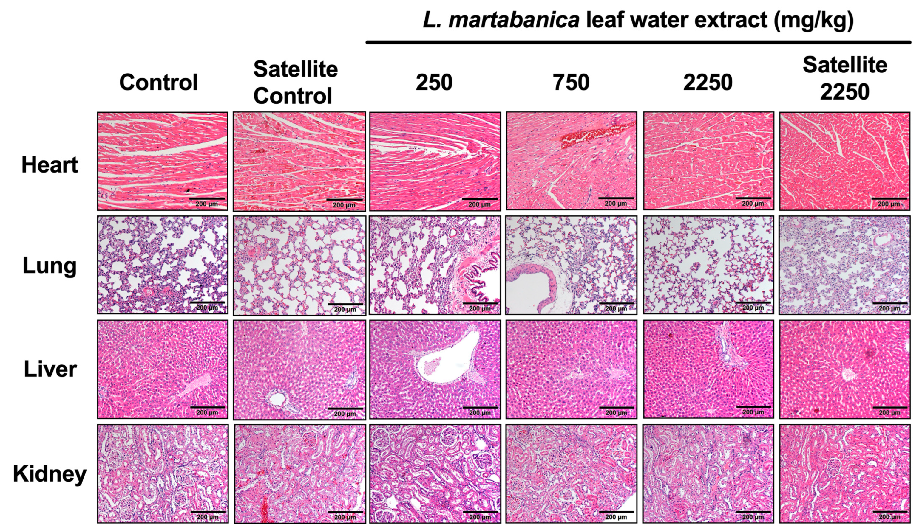Toxics 12 00470 g003