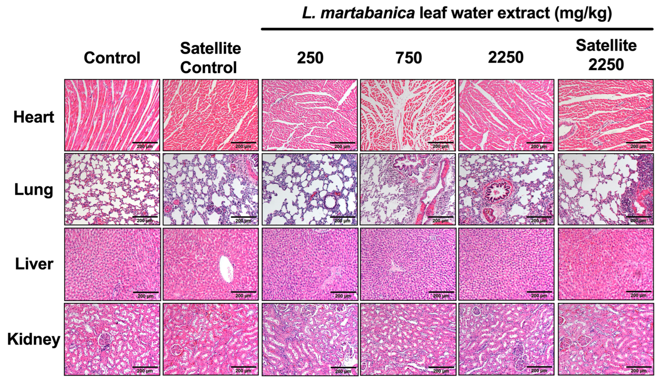 Toxics 12 00470 g004