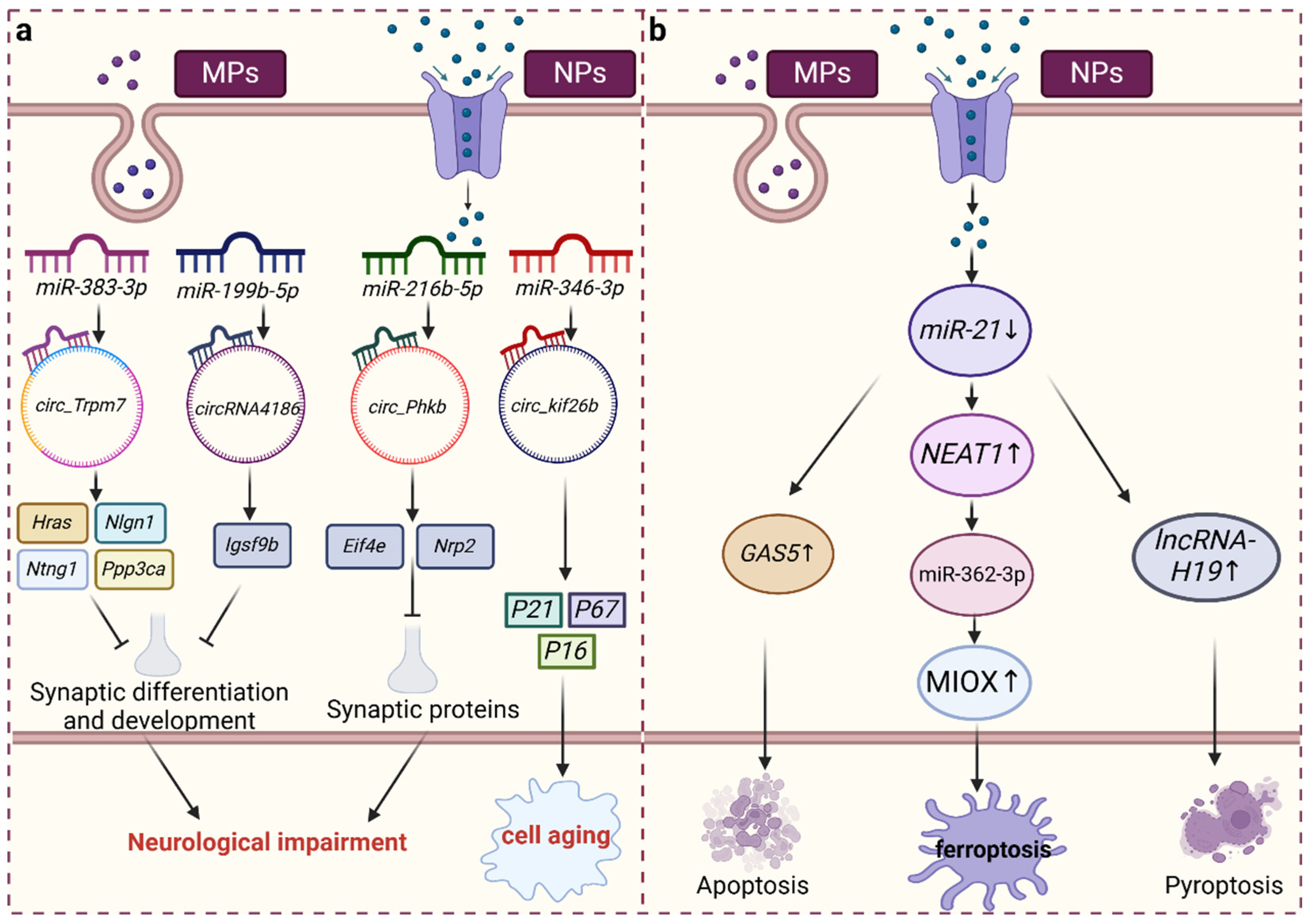 Toxics 12 00475 g002