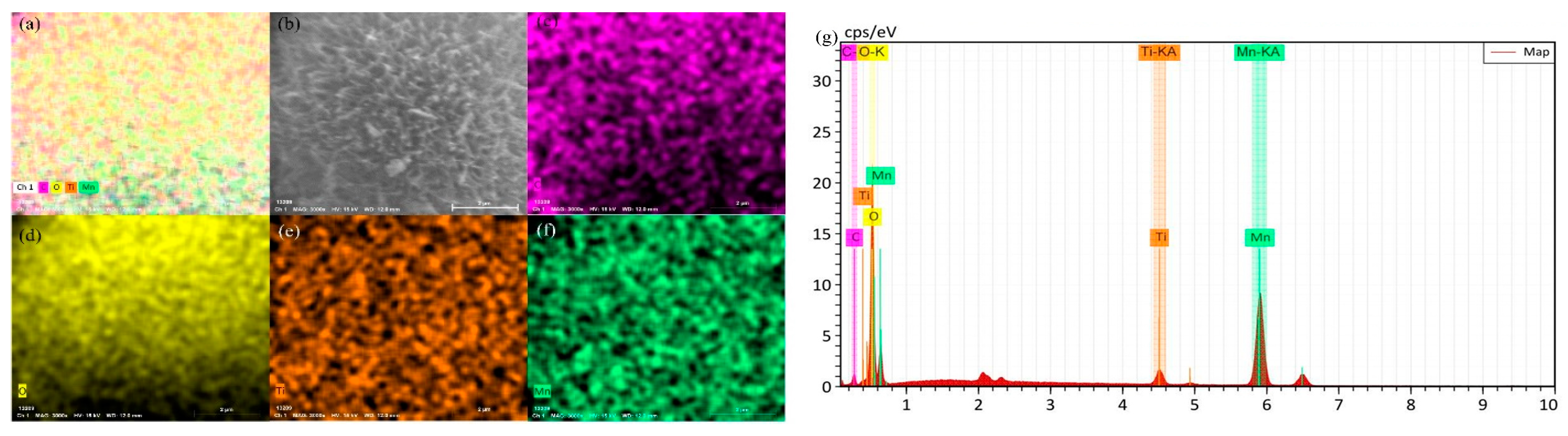 Toxics 12 00478 g006