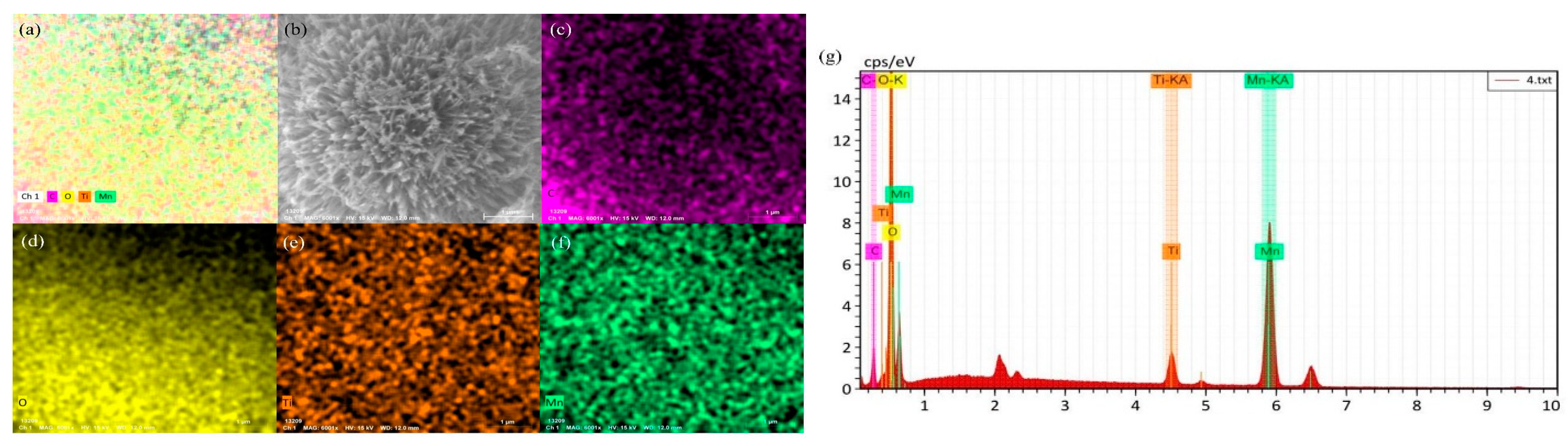 Toxics 12 00478 g007