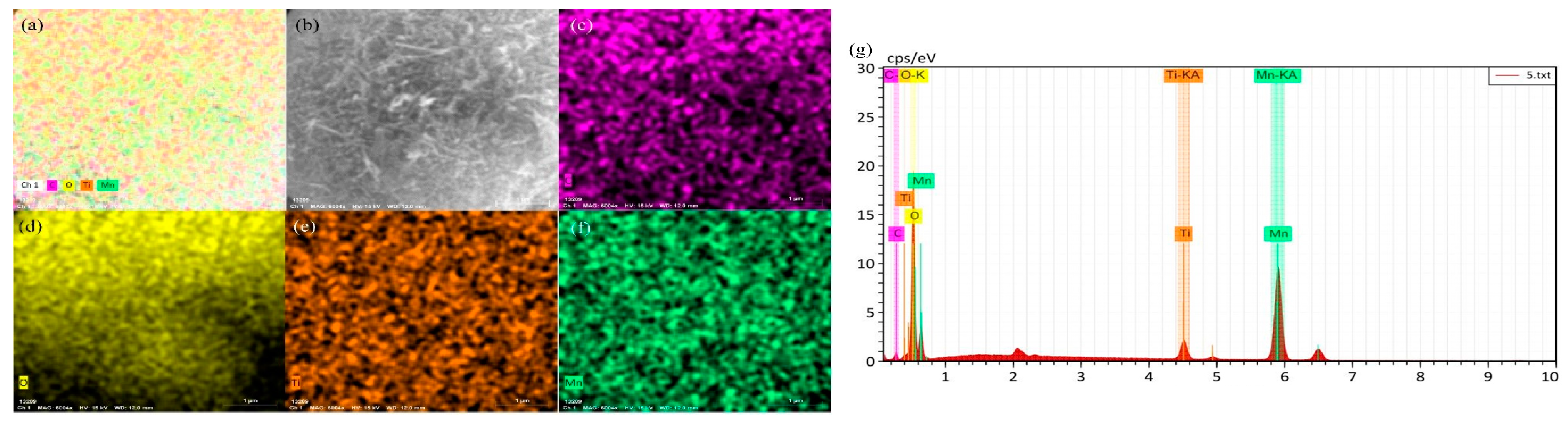 Toxics 12 00478 g008