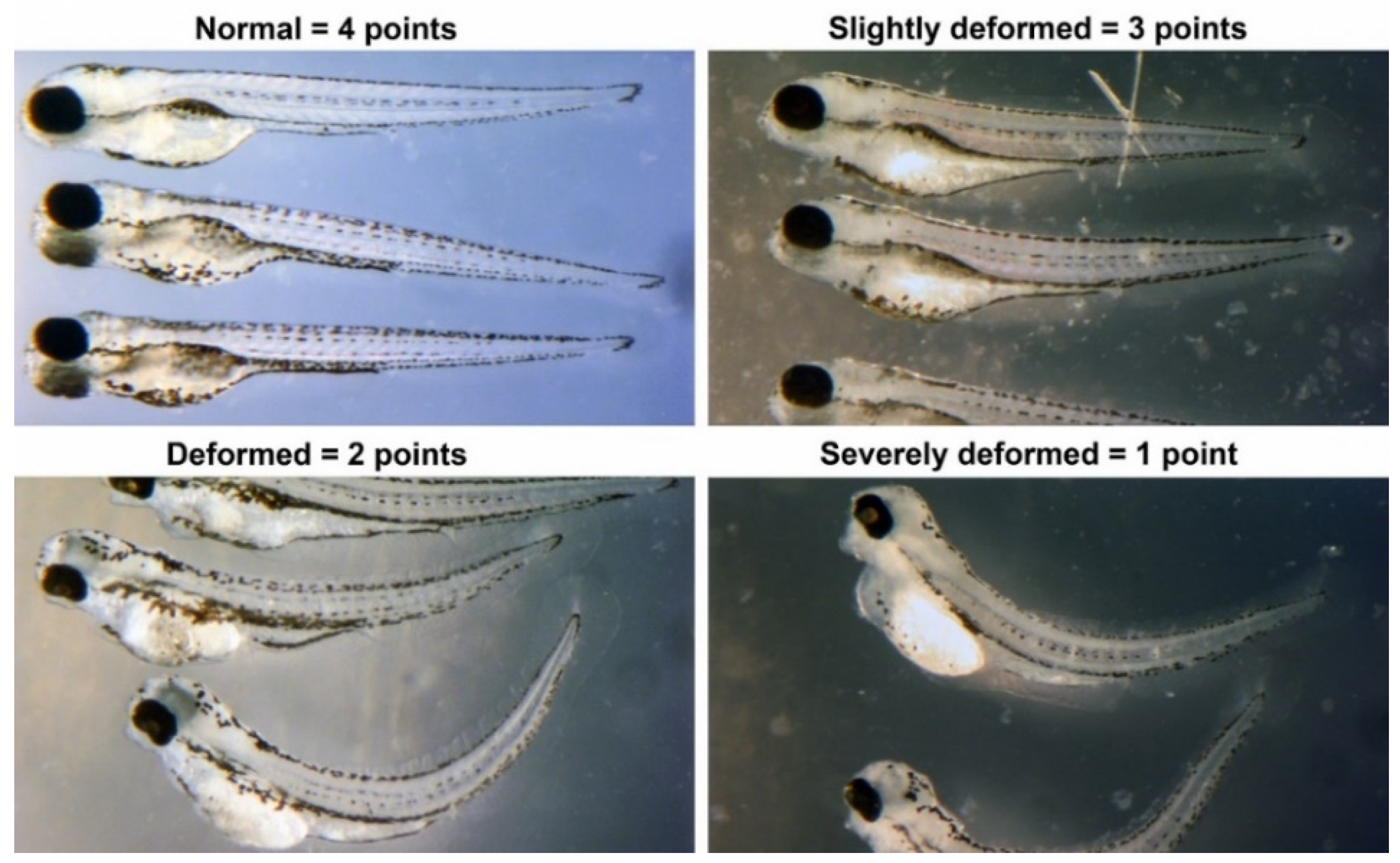 Toxics 12 00481 g010