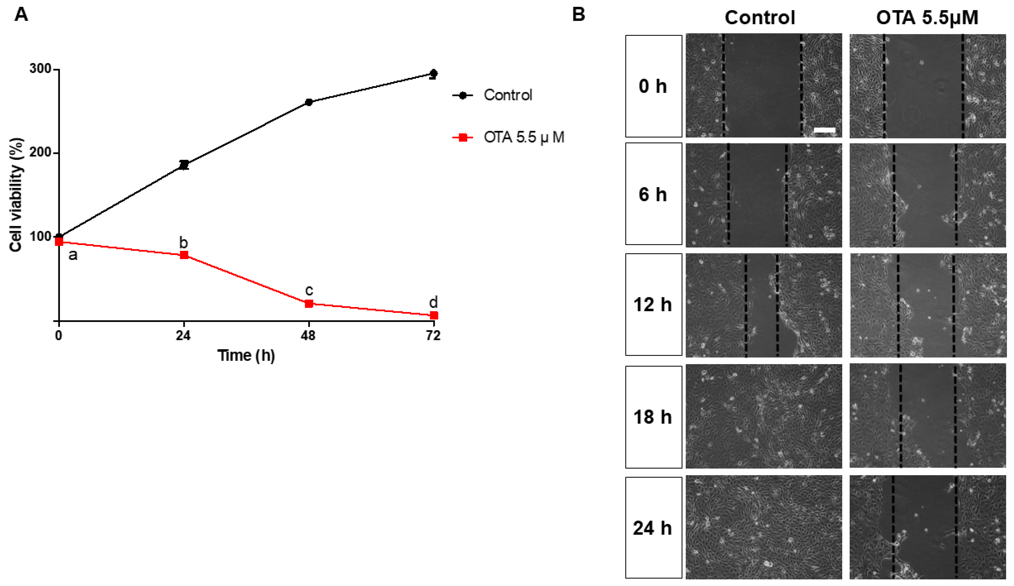 Toxics 12 00487 g001