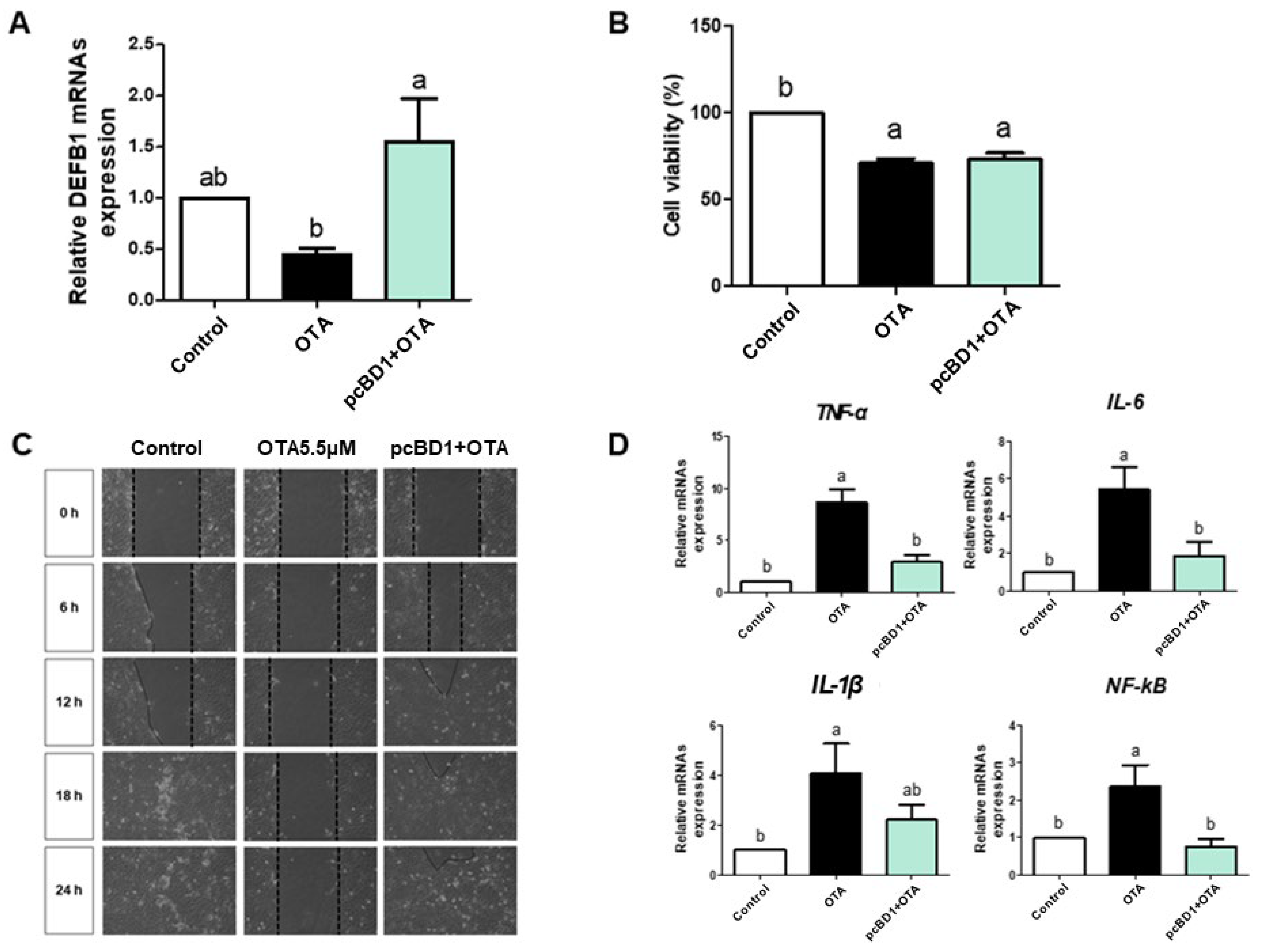 Toxics 12 00487 g003