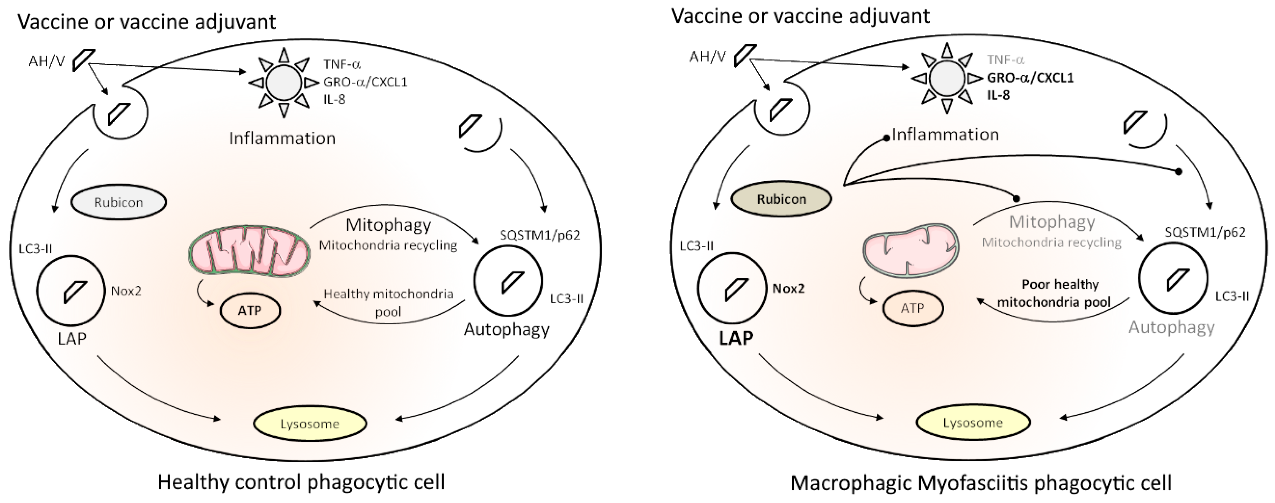 Toxics 12 00491 g007