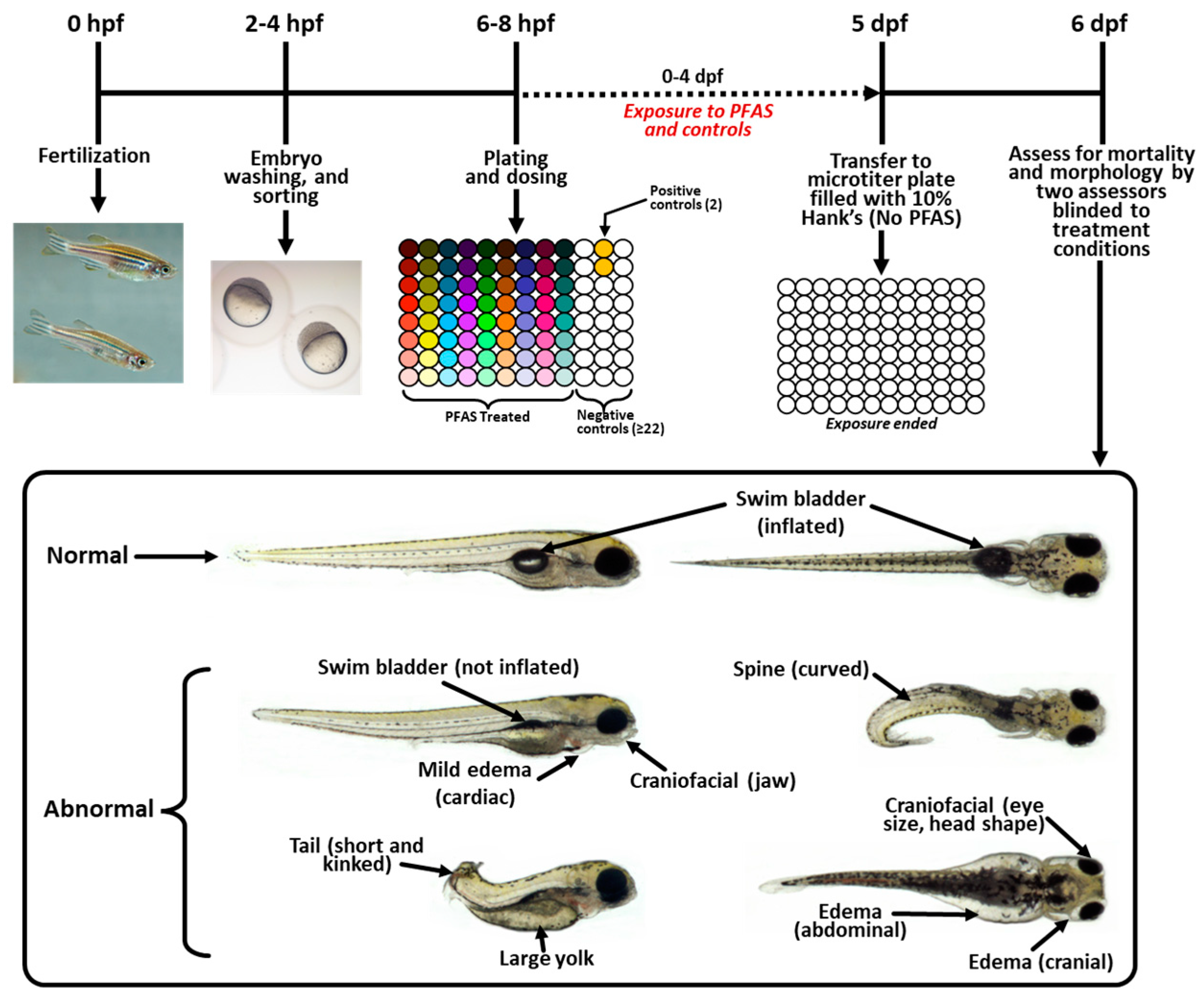 Toxics 12 00501 g001
