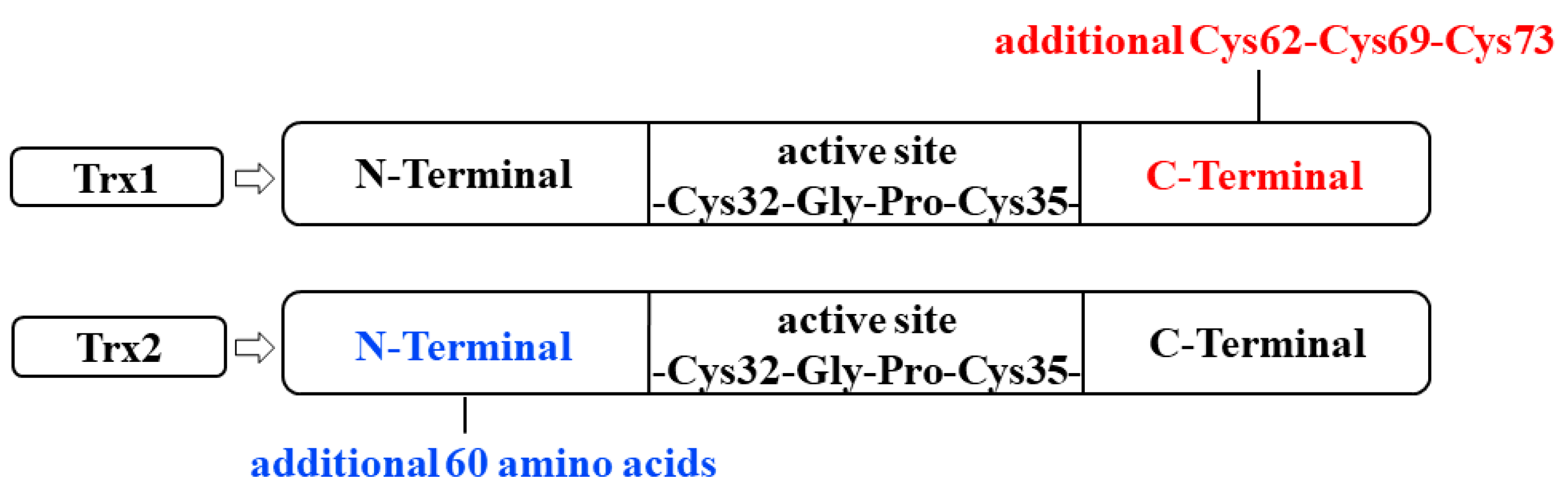 Toxics 12 00510 g001