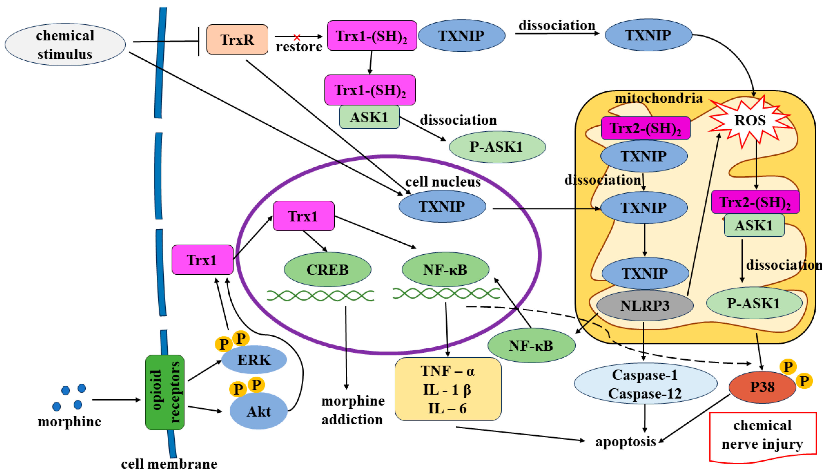 Toxics 12 00510 g003