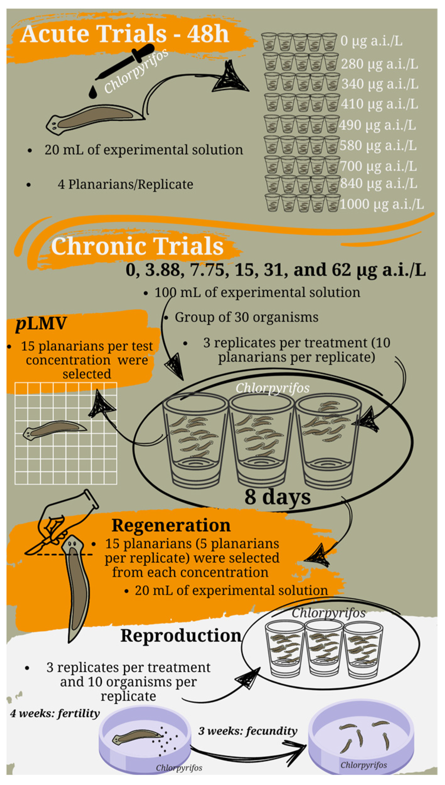 Toxics 12 00512 g001