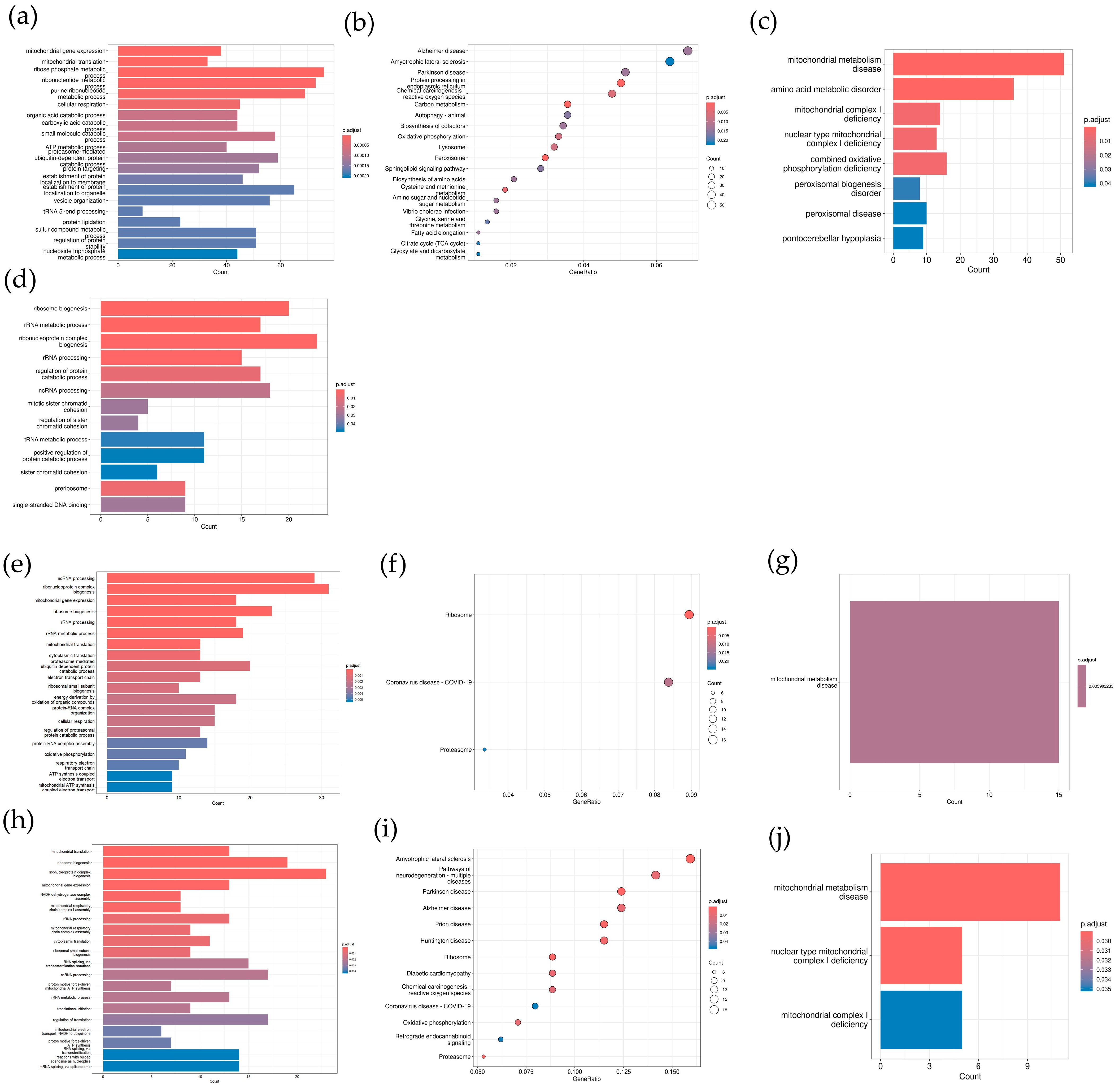 Toxics 12 00516 g005