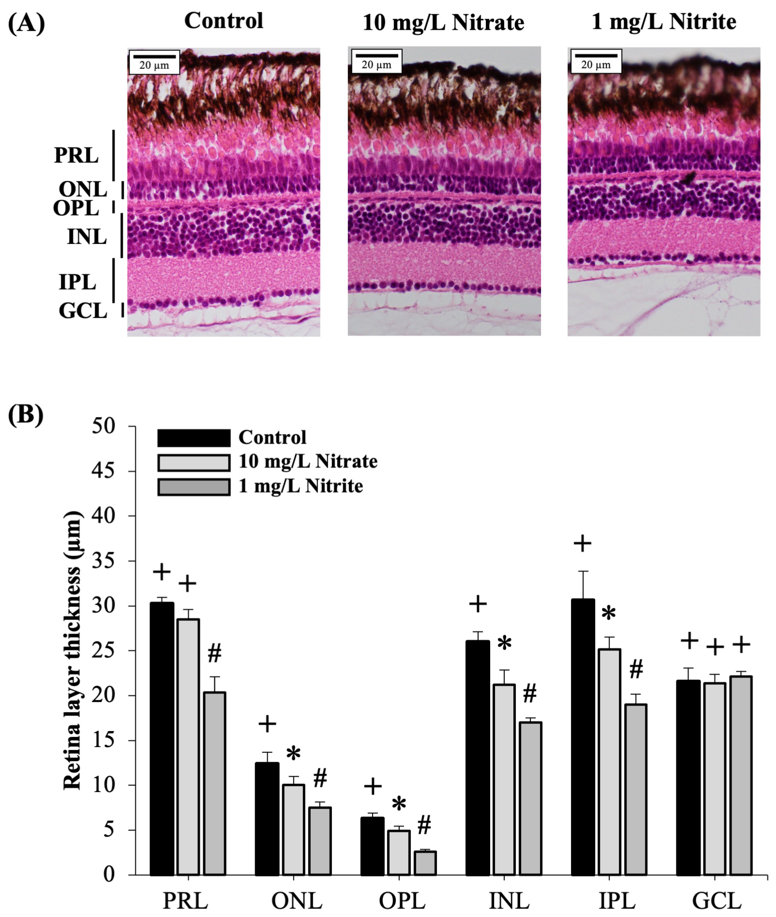 Toxics 12 00518 g003 Toxics 12 00518 g003