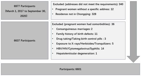 Maternal Exposure to Ozone and the Risk of Birth Defects: A Maternal Exposure to Ozone and the Risk of Birth Defects: A