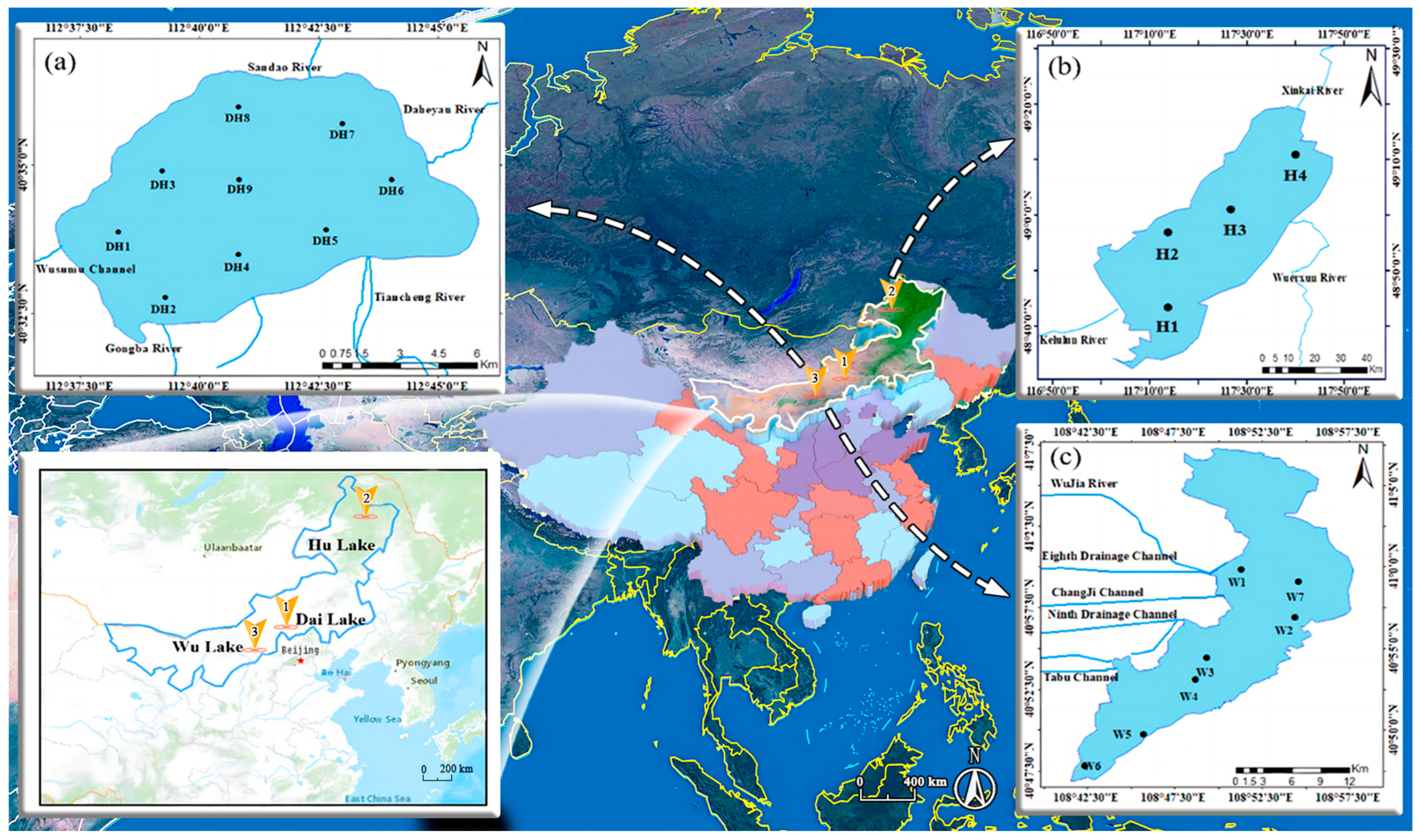 Toxics 12 00523 g001