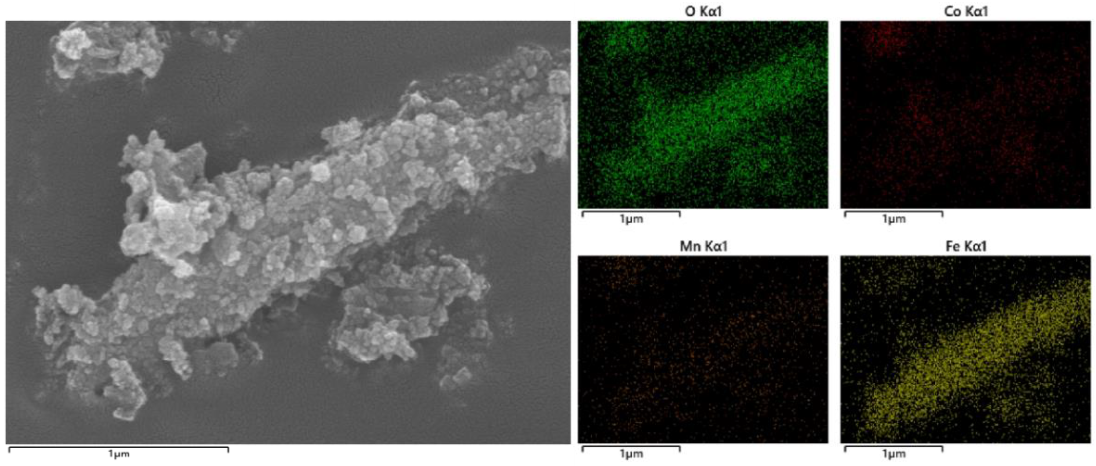 Toxics 12 00524 g005