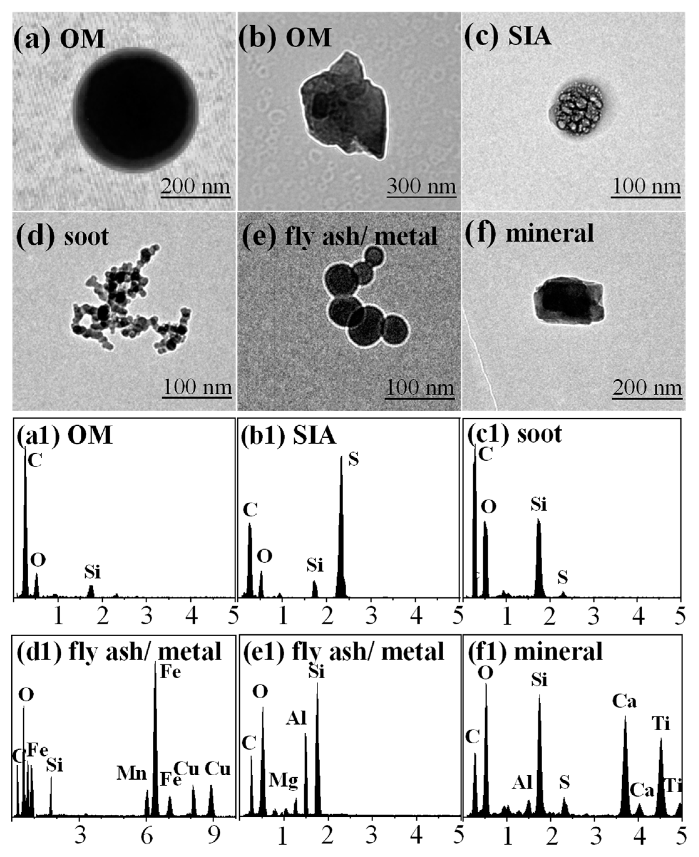 【予約中！】 of Characterization Microscopic Individual Particles Aerosol アクセサリー