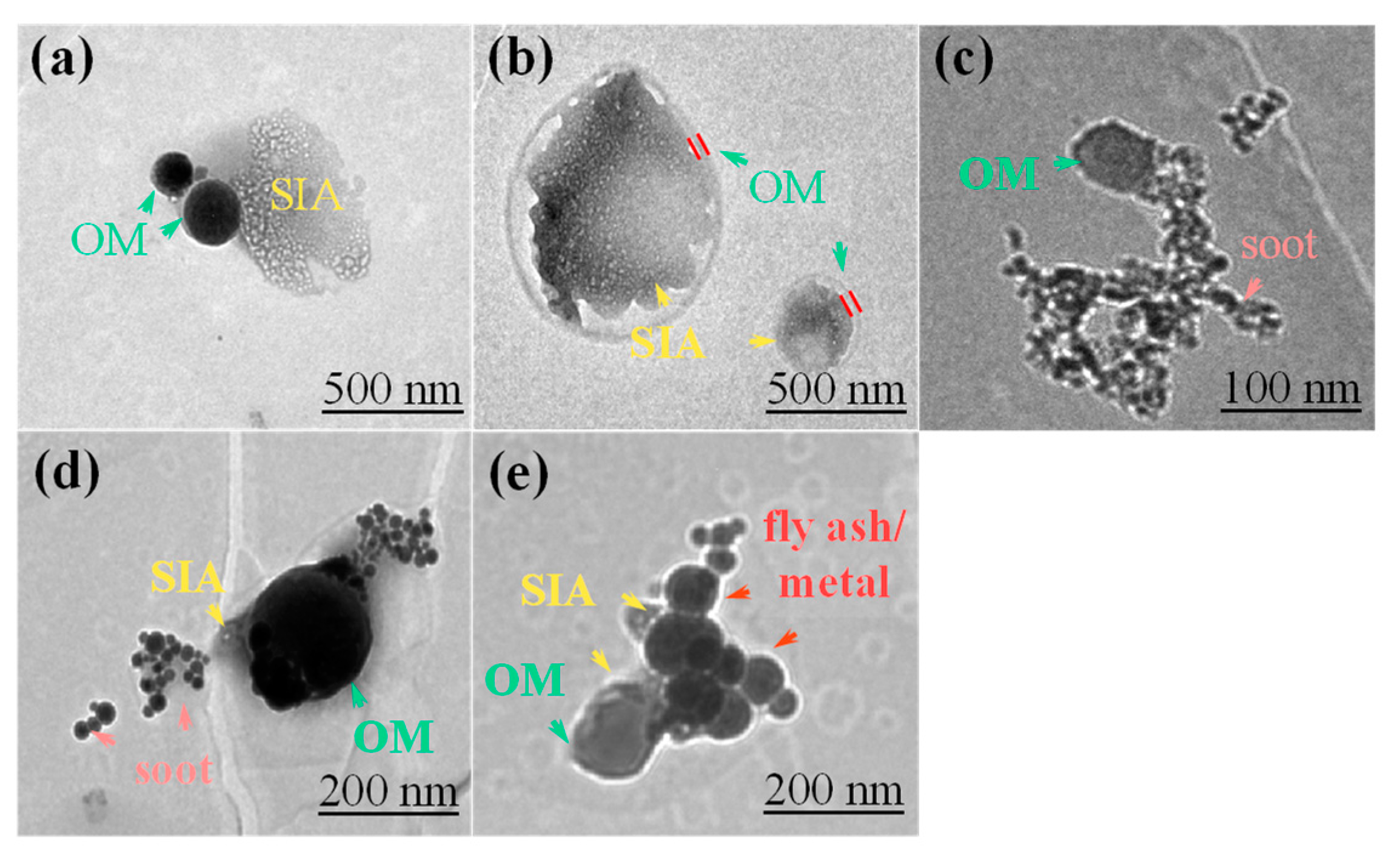 Microscopic Characterization of Individual Aerosol Particles