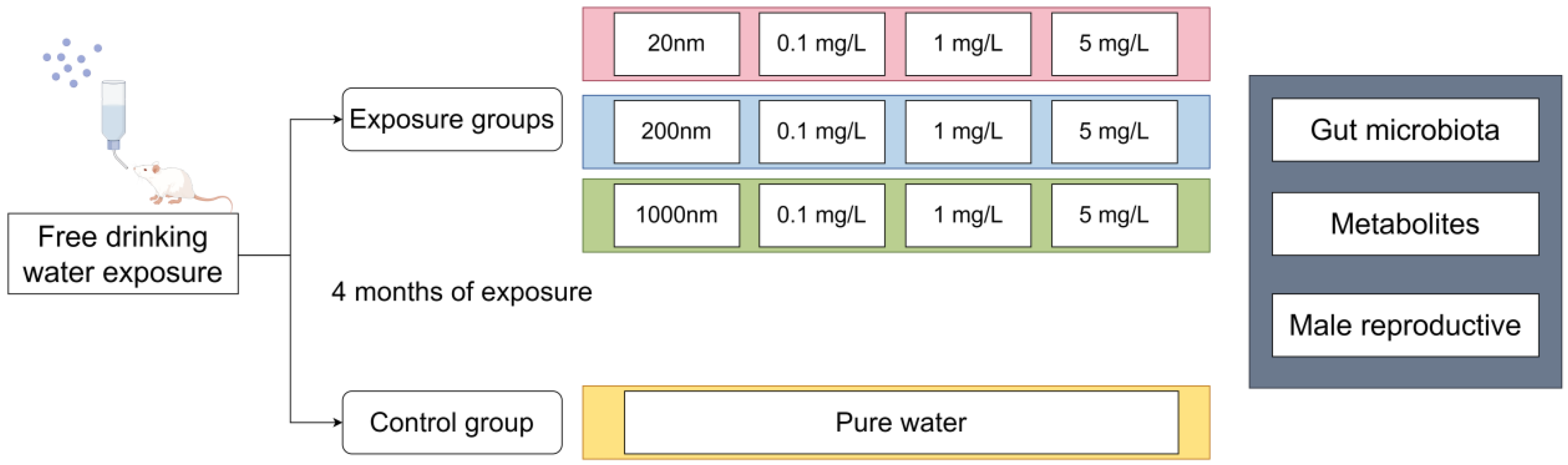 Toxics 12 00531 g001